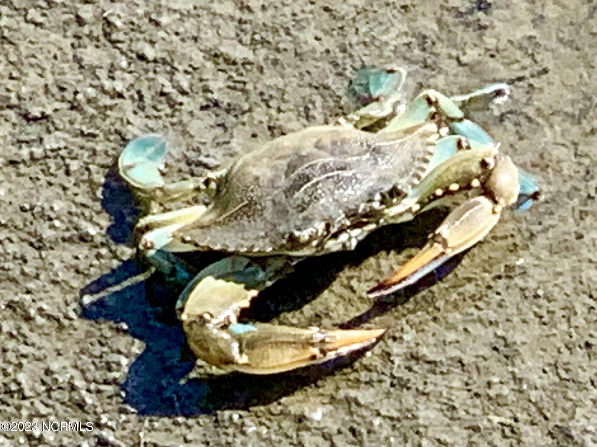 100387991 | Photo 24