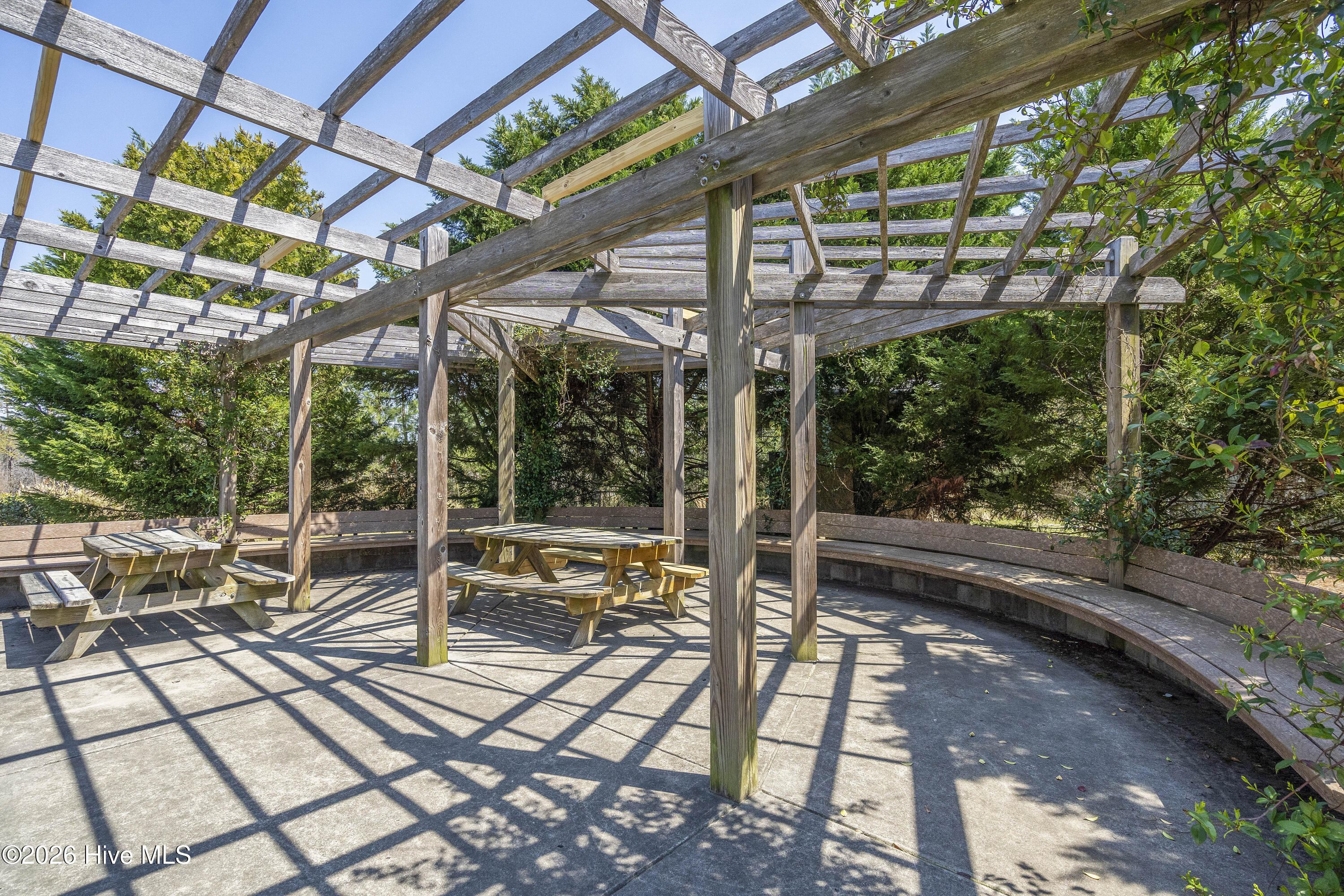 100562110 | Photo 102