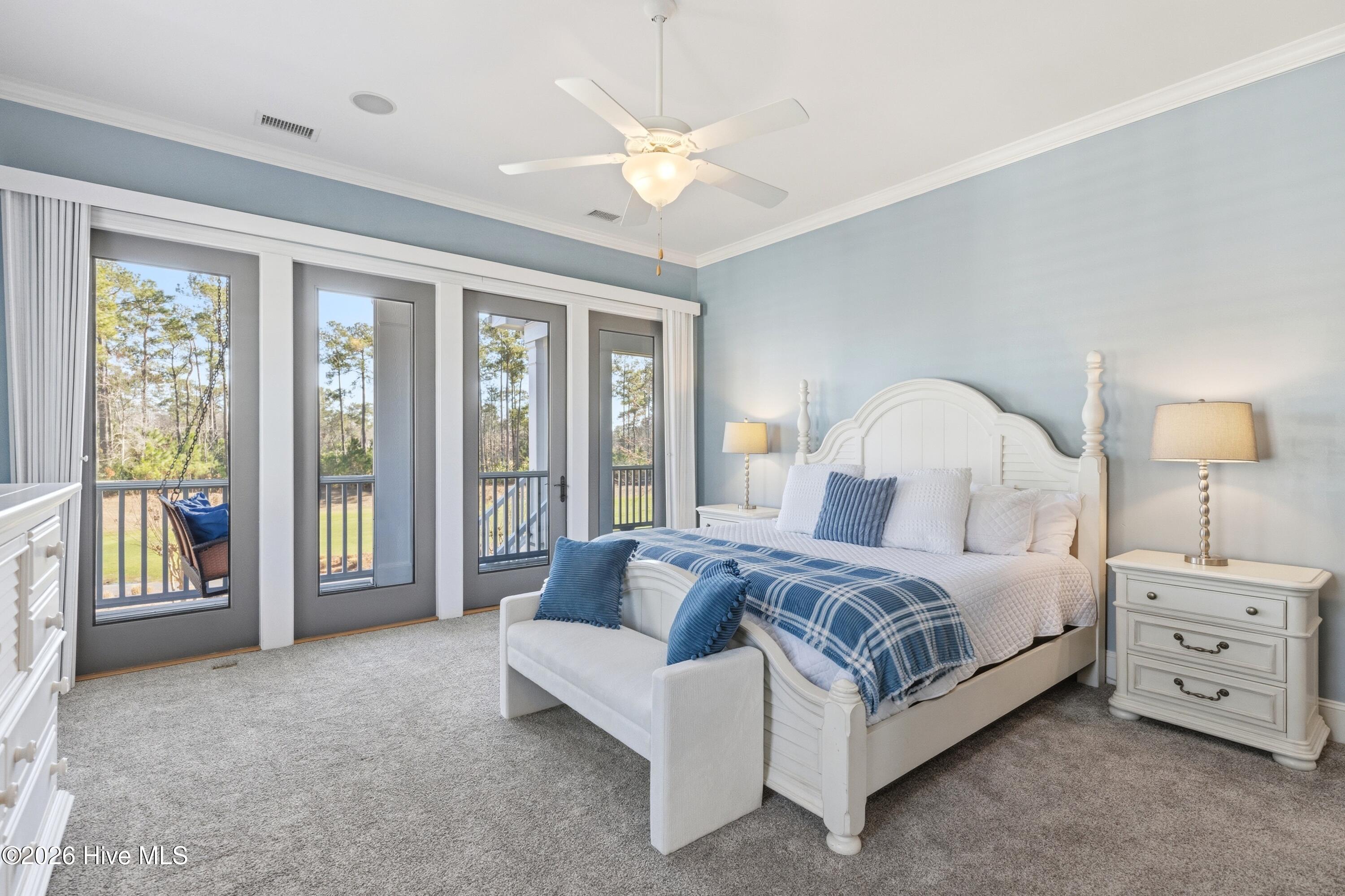 100556078 | Photo 37