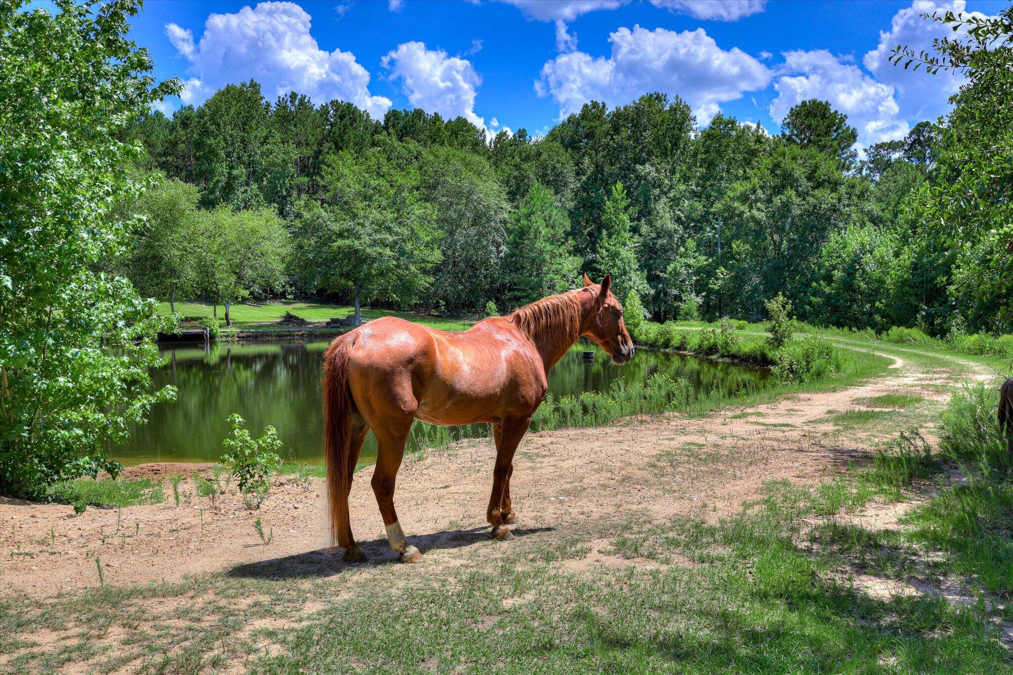 425 Whiskey Road, Grovetown, GA, 30813