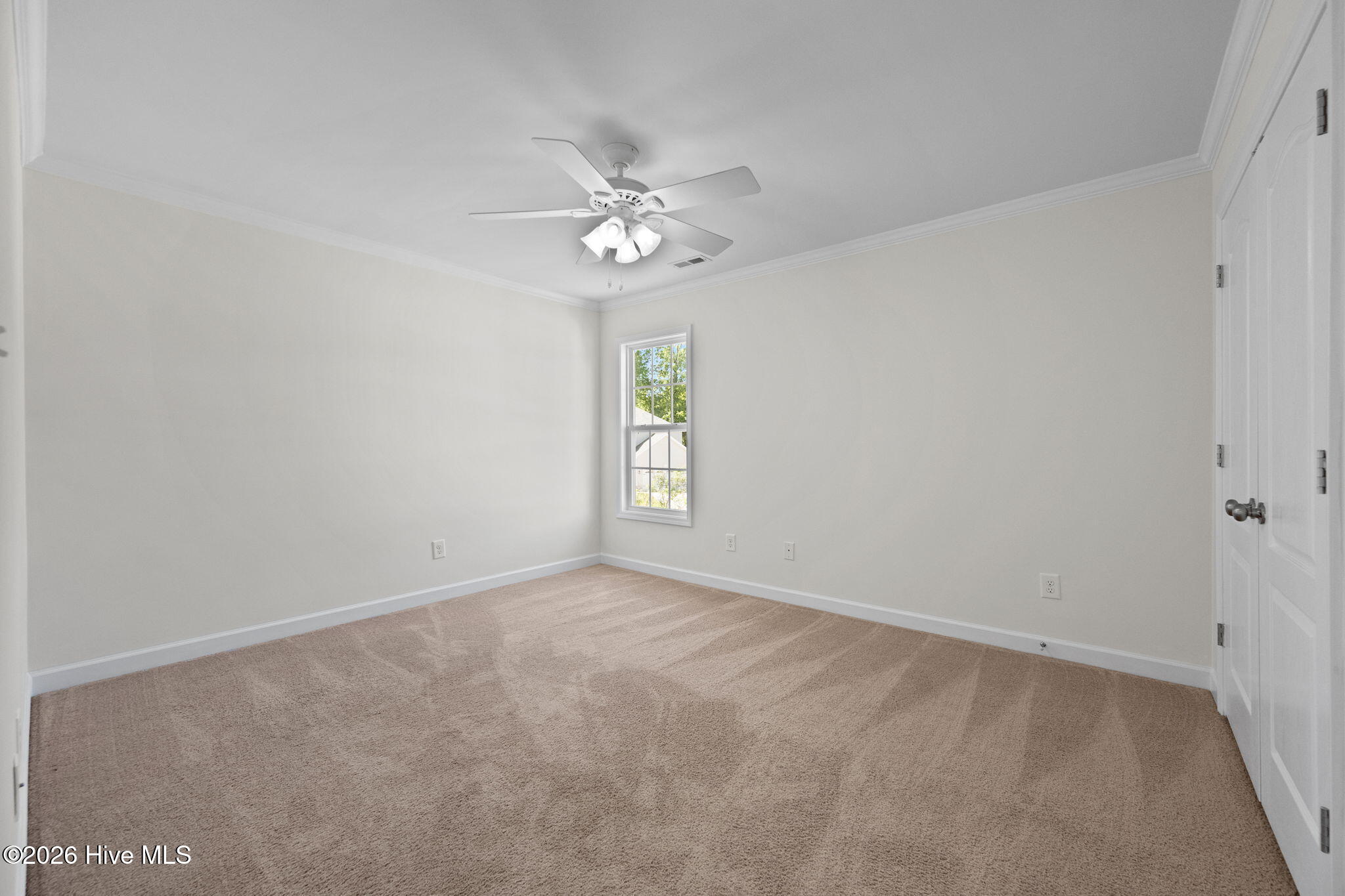 100570344 | Photo 33