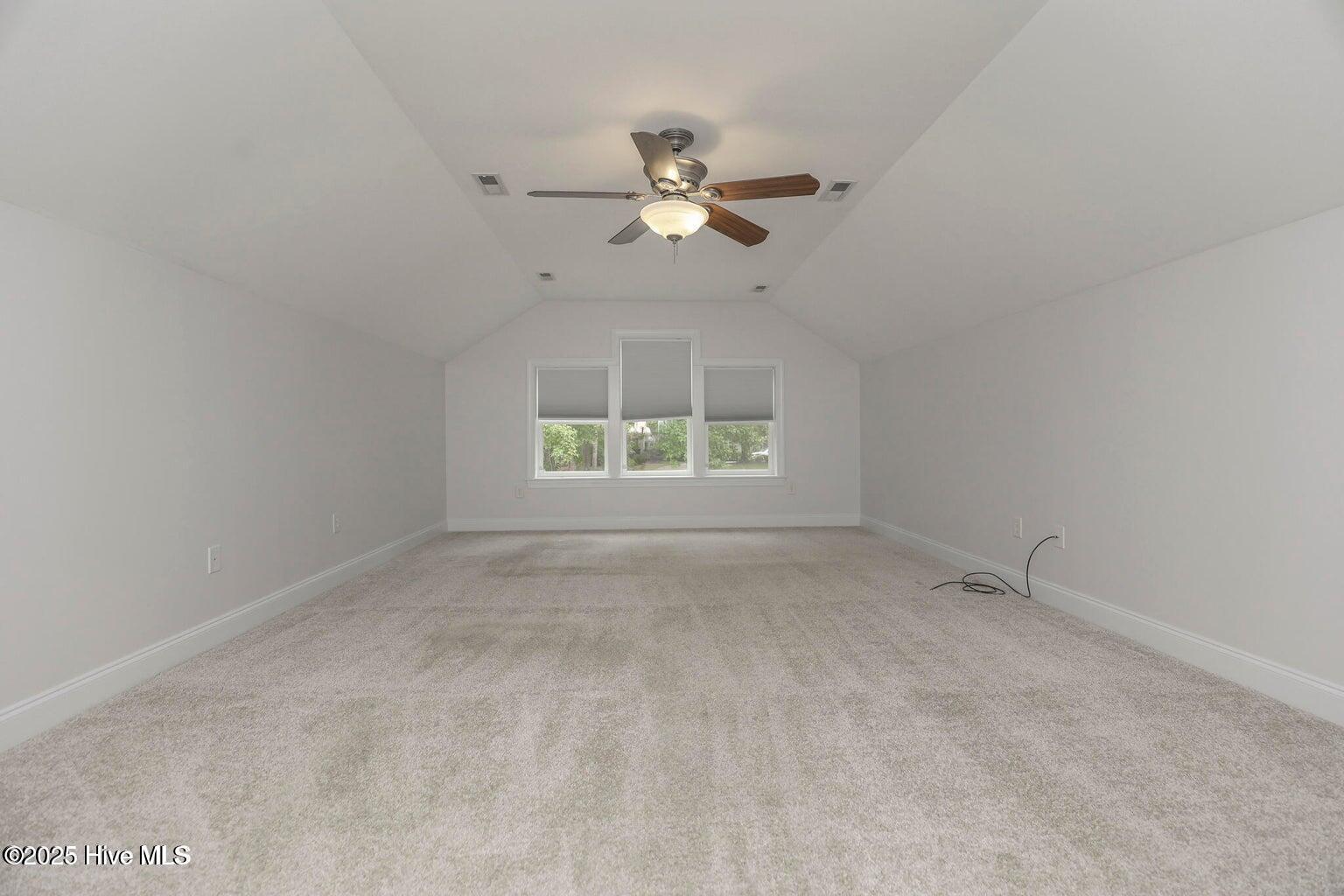 100534636 | Photo 12