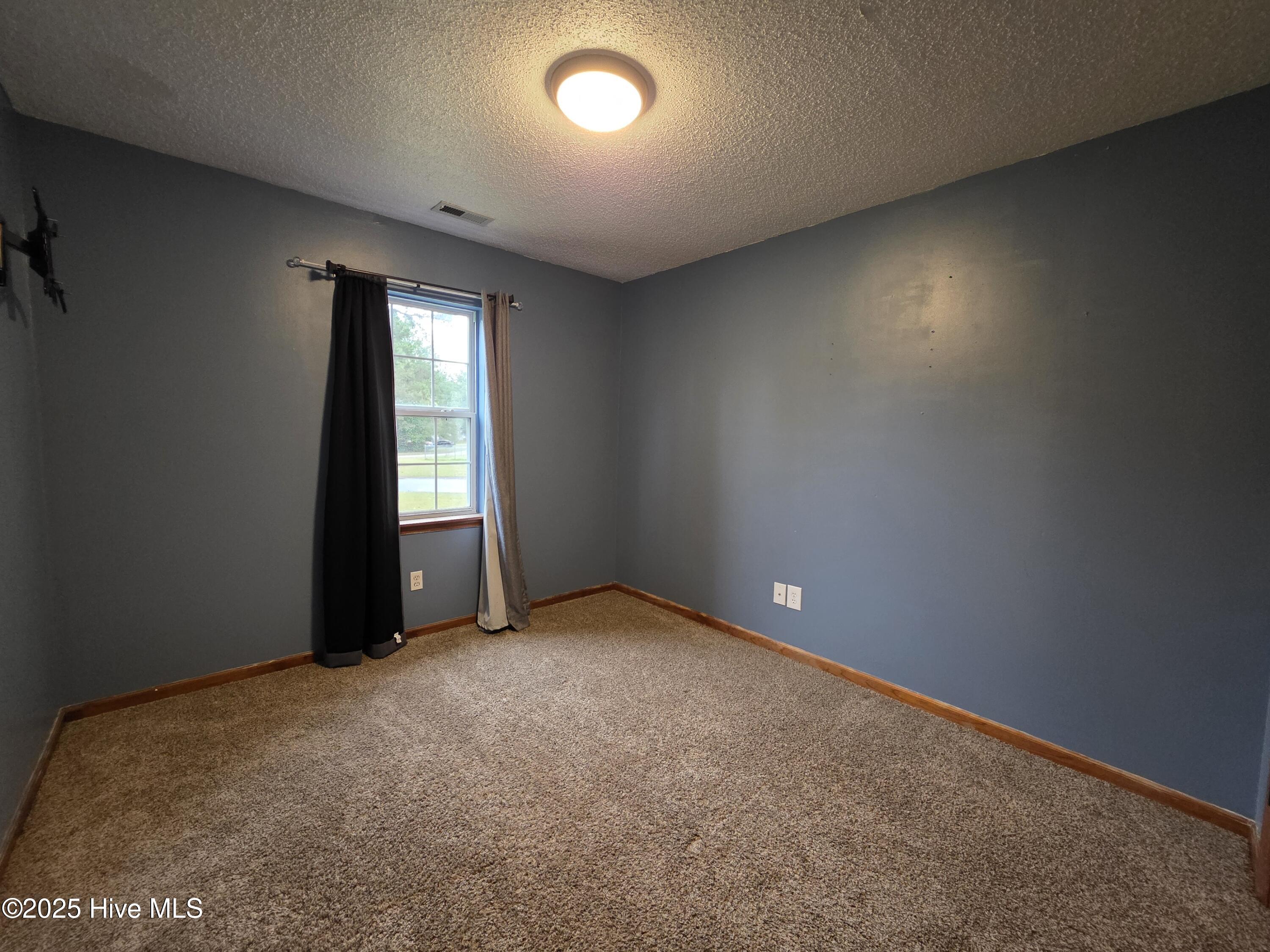 100538348 | Photo 19