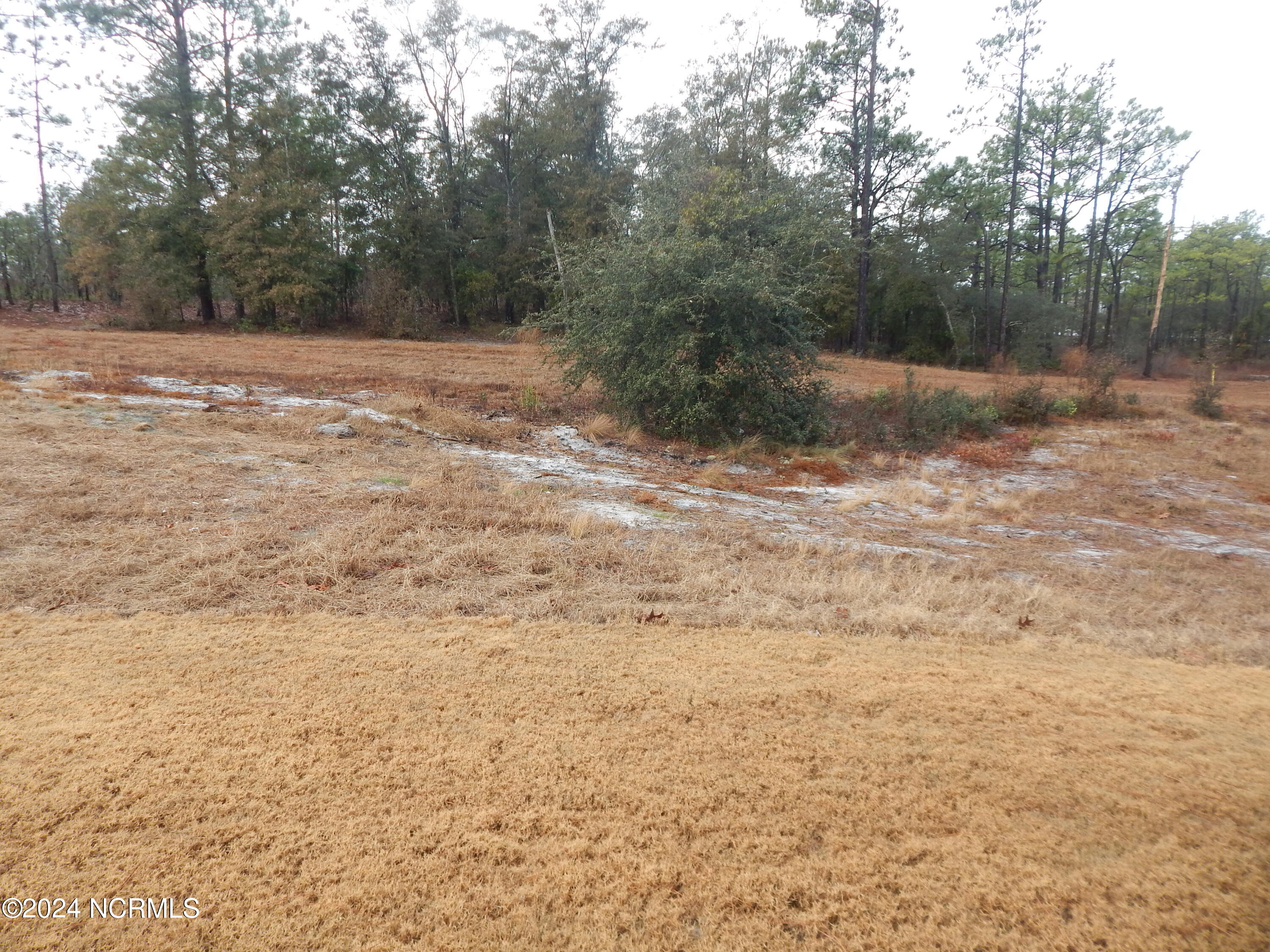 100549496 | Photo 25