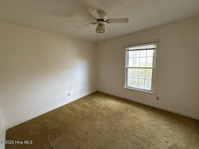 100561213 | Photo 18