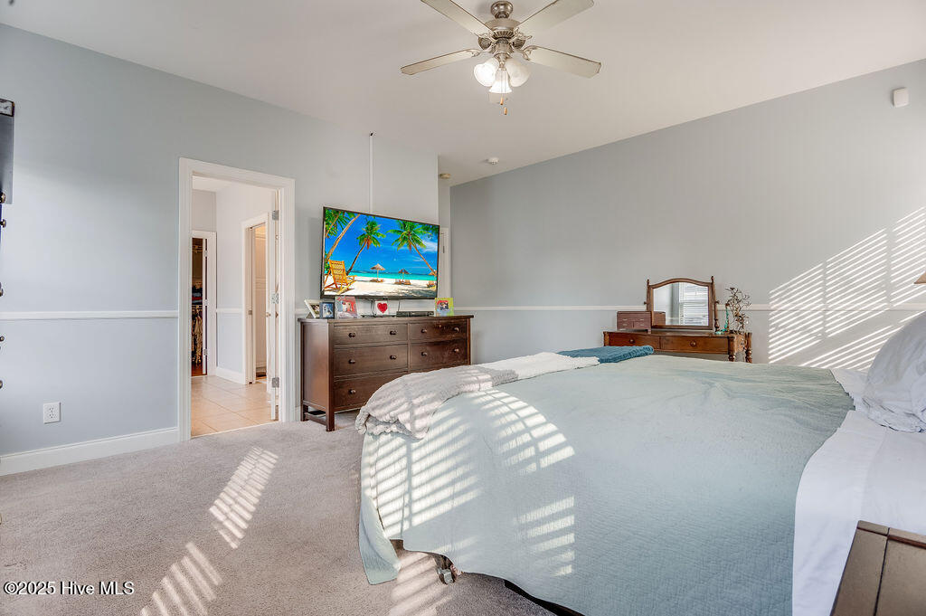 100534087 | Photo 22