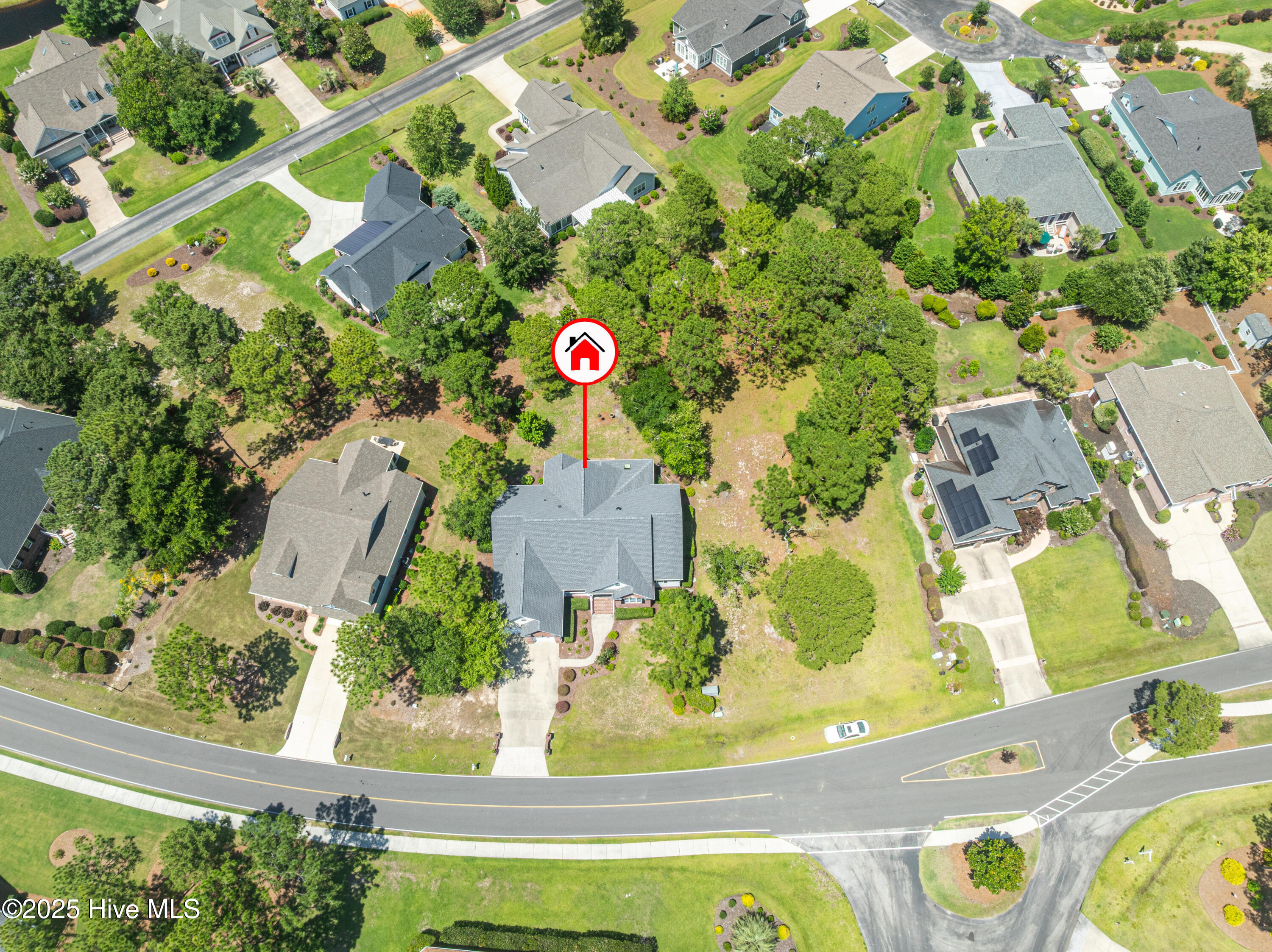 100480816 | Photo 64