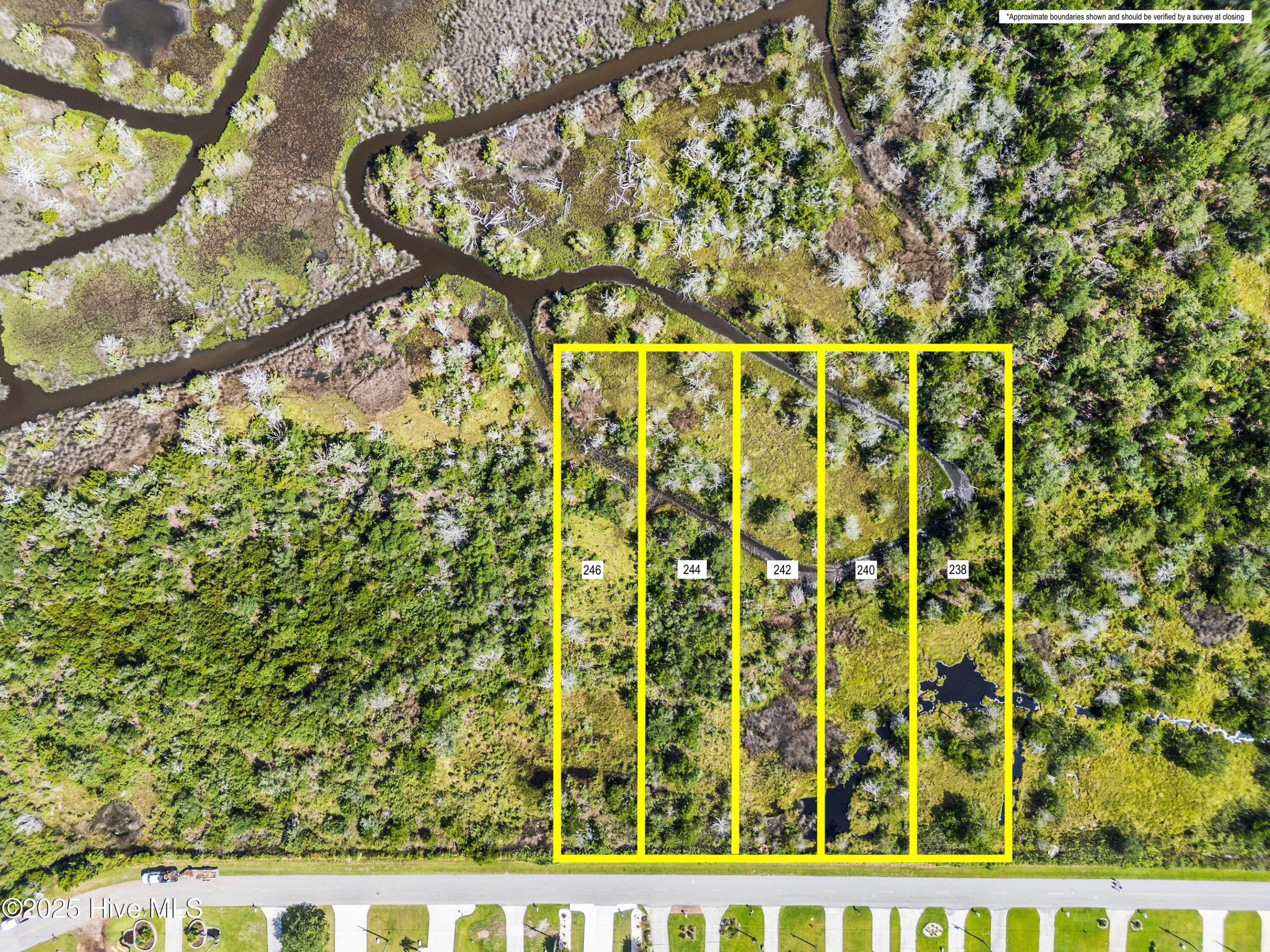 100520114 | Photo 10