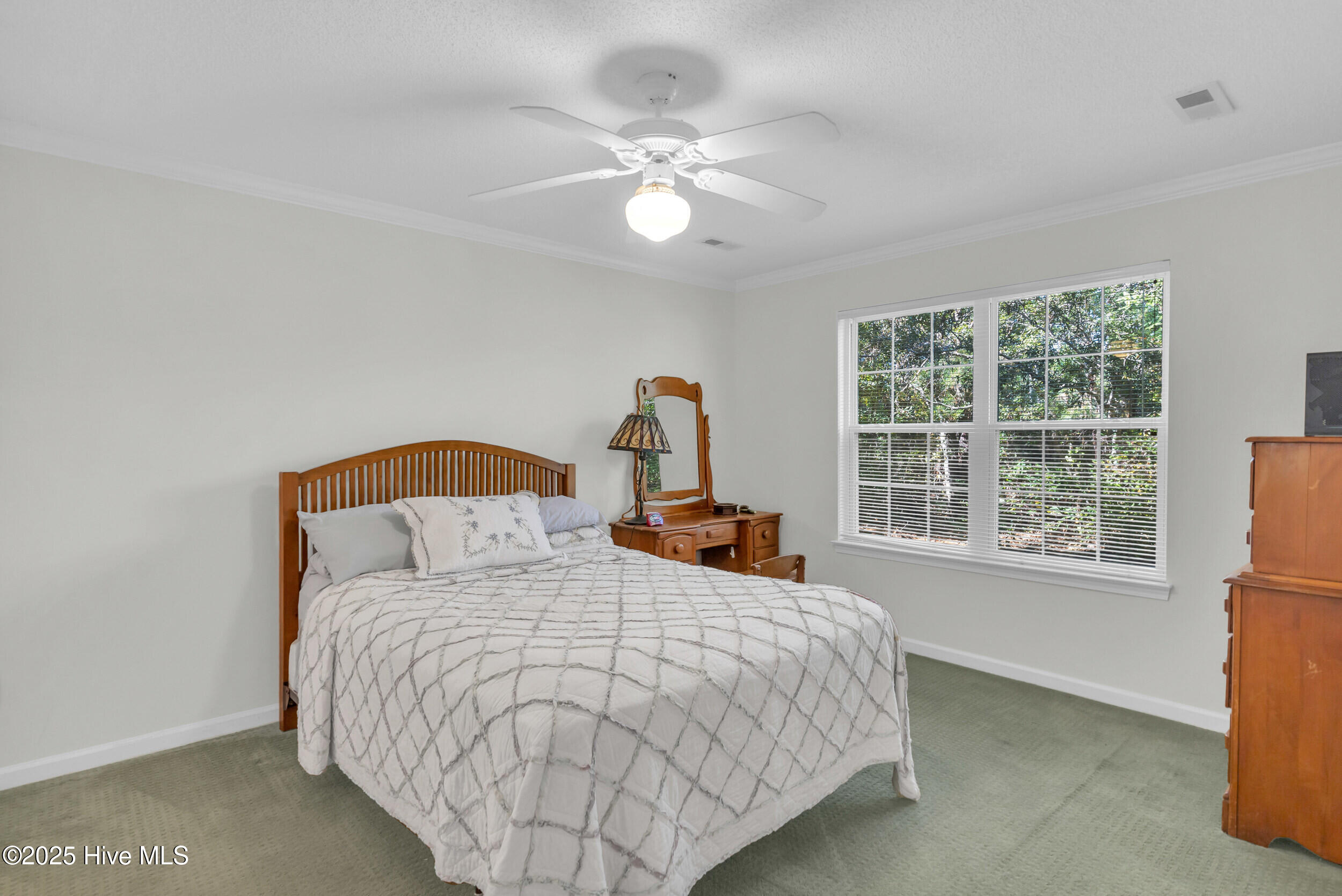 100539370 | Photo 13