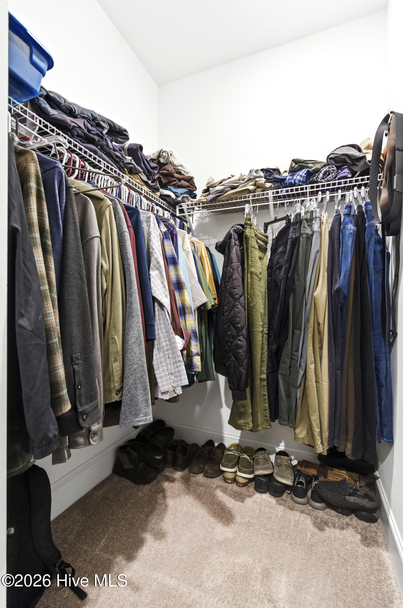 100563629 | Photo 36