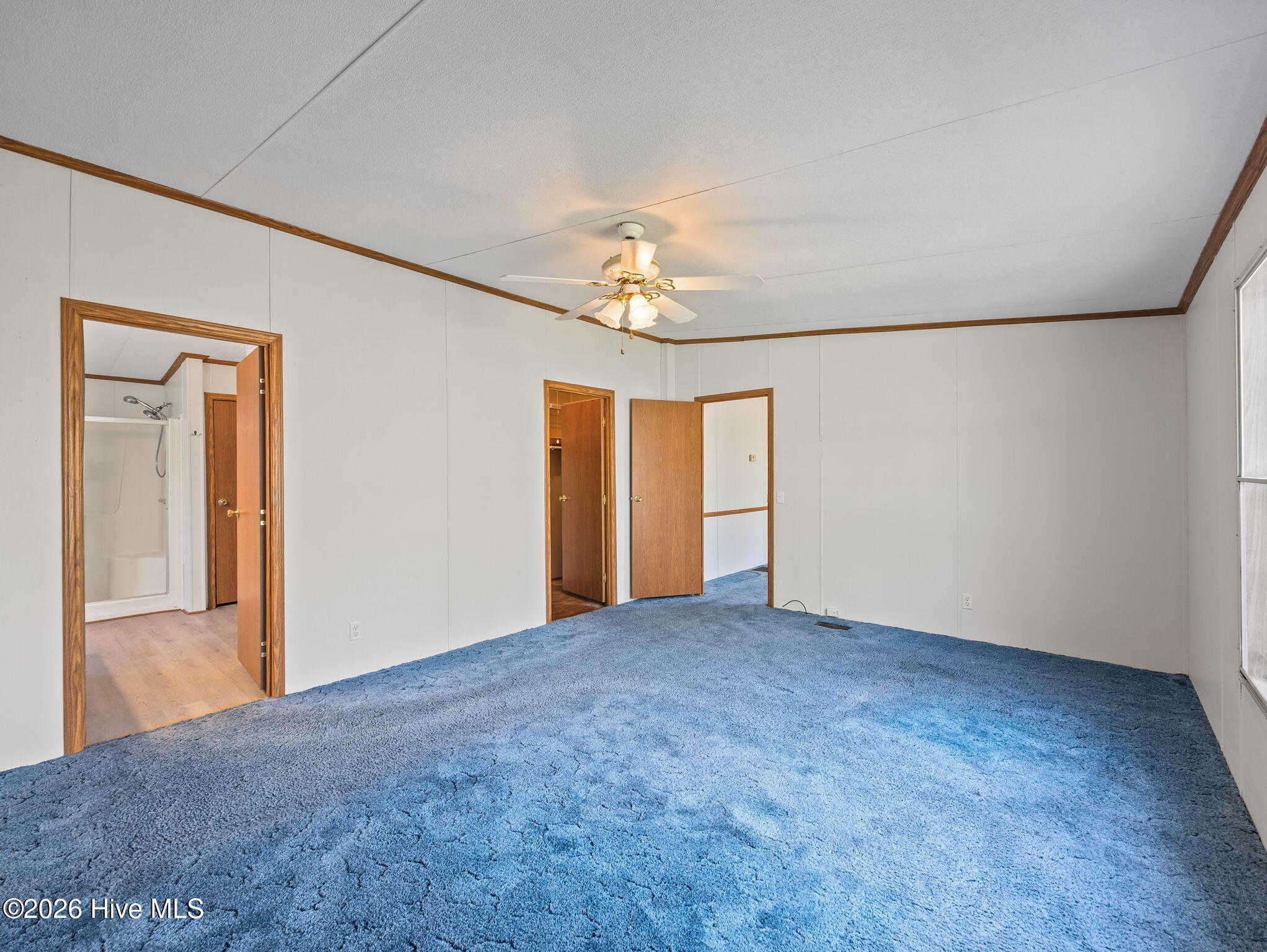 100565011 | Photo 23