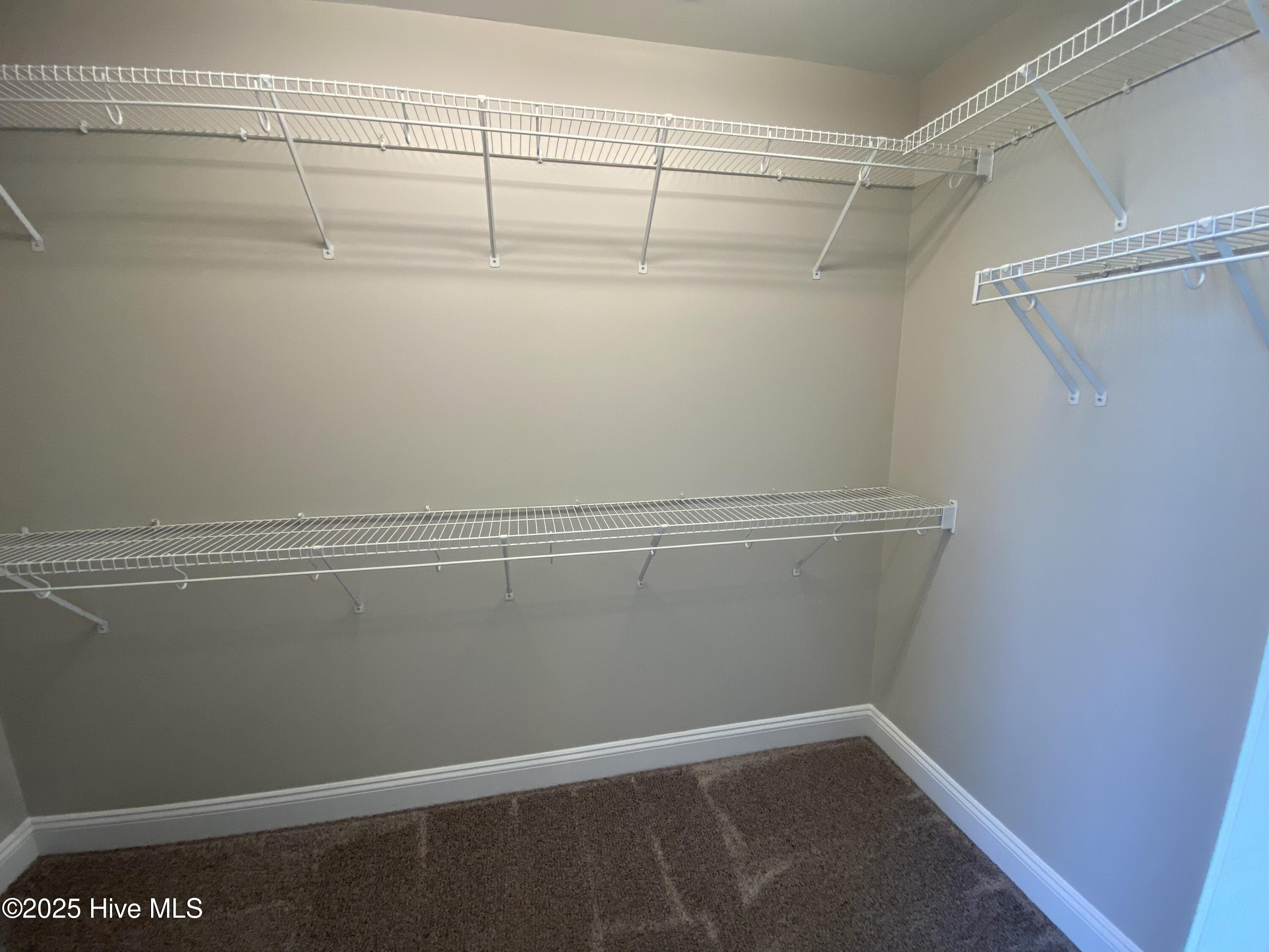 100566817 | Photo 27