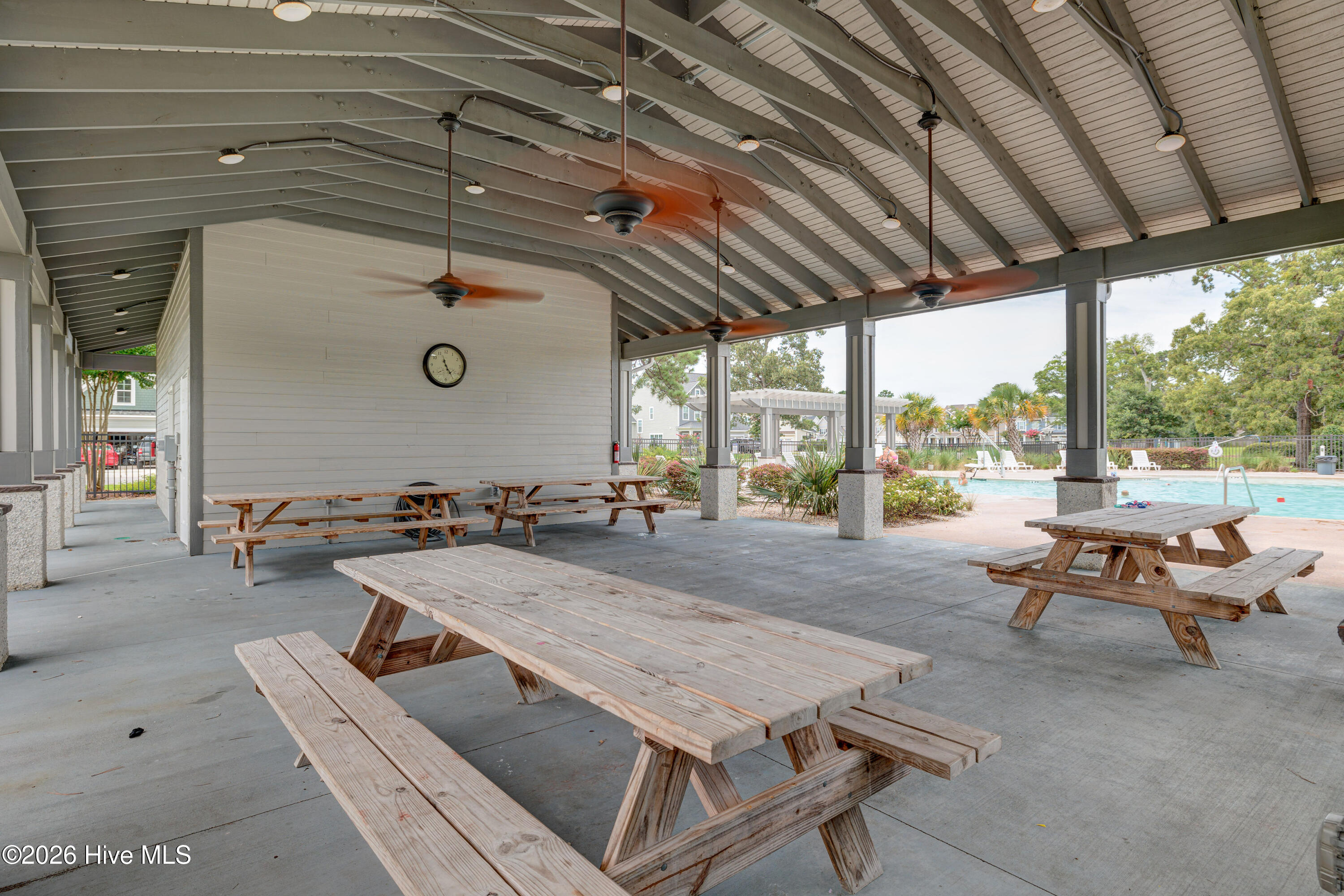 100553083 | Photo 50