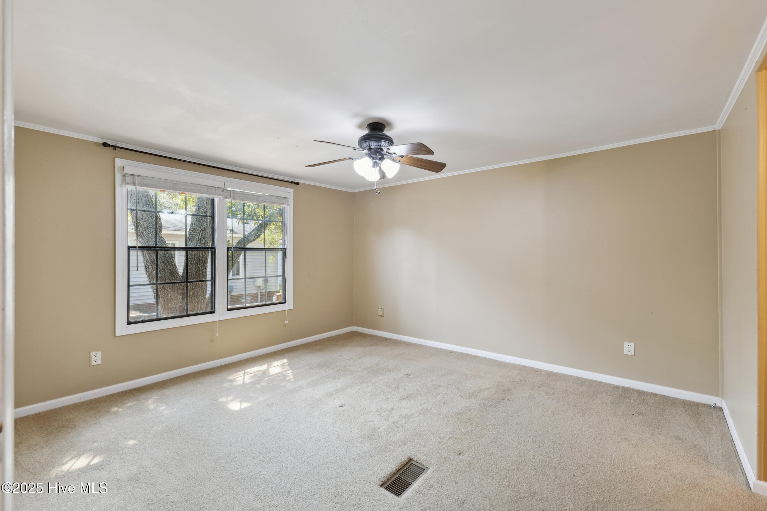 100511542 | Photo 15