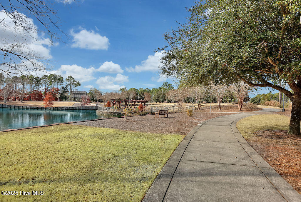 100511550 | Photo 121