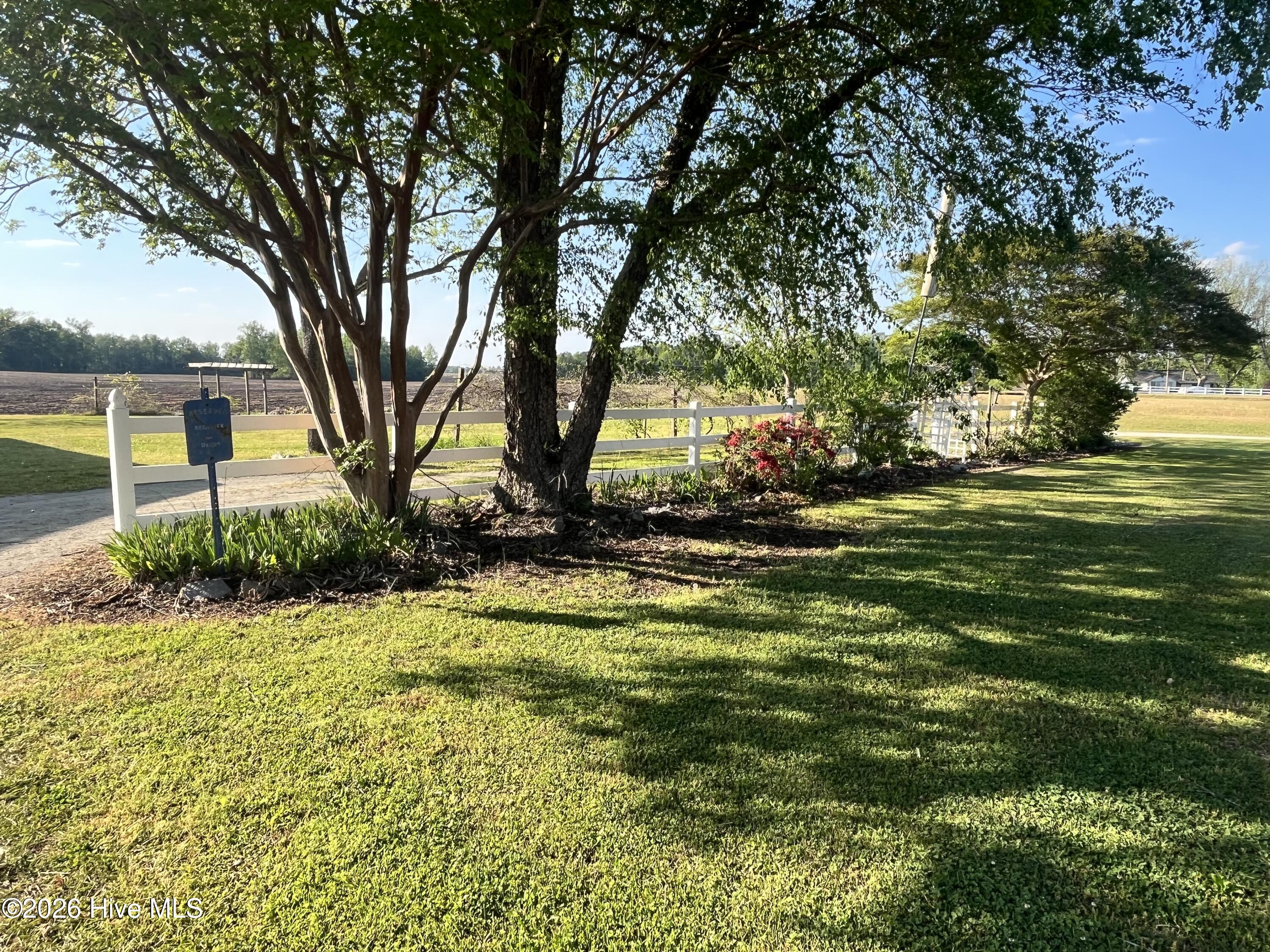 100567064 | Photo 17