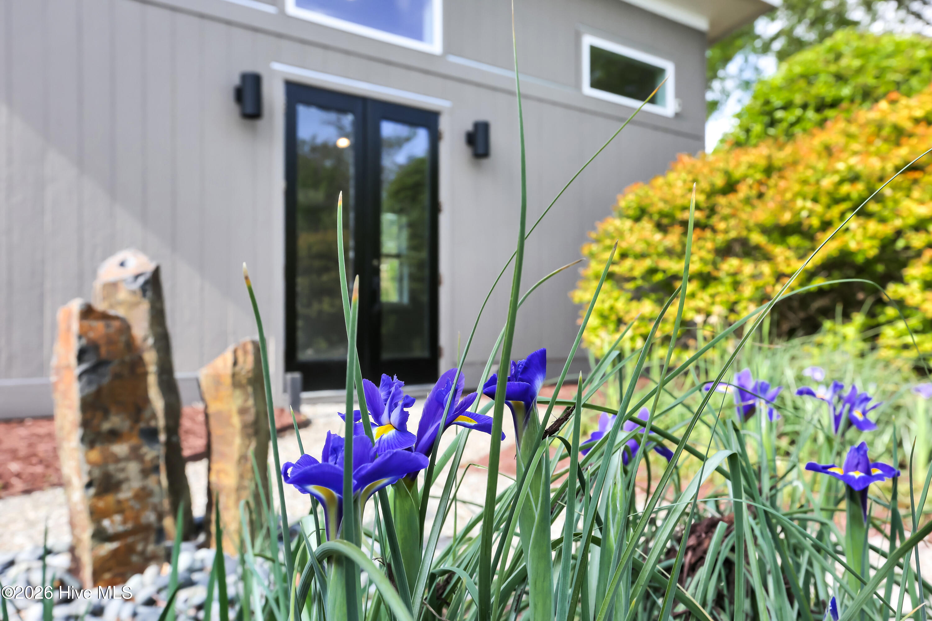 100565189 | Photo 36