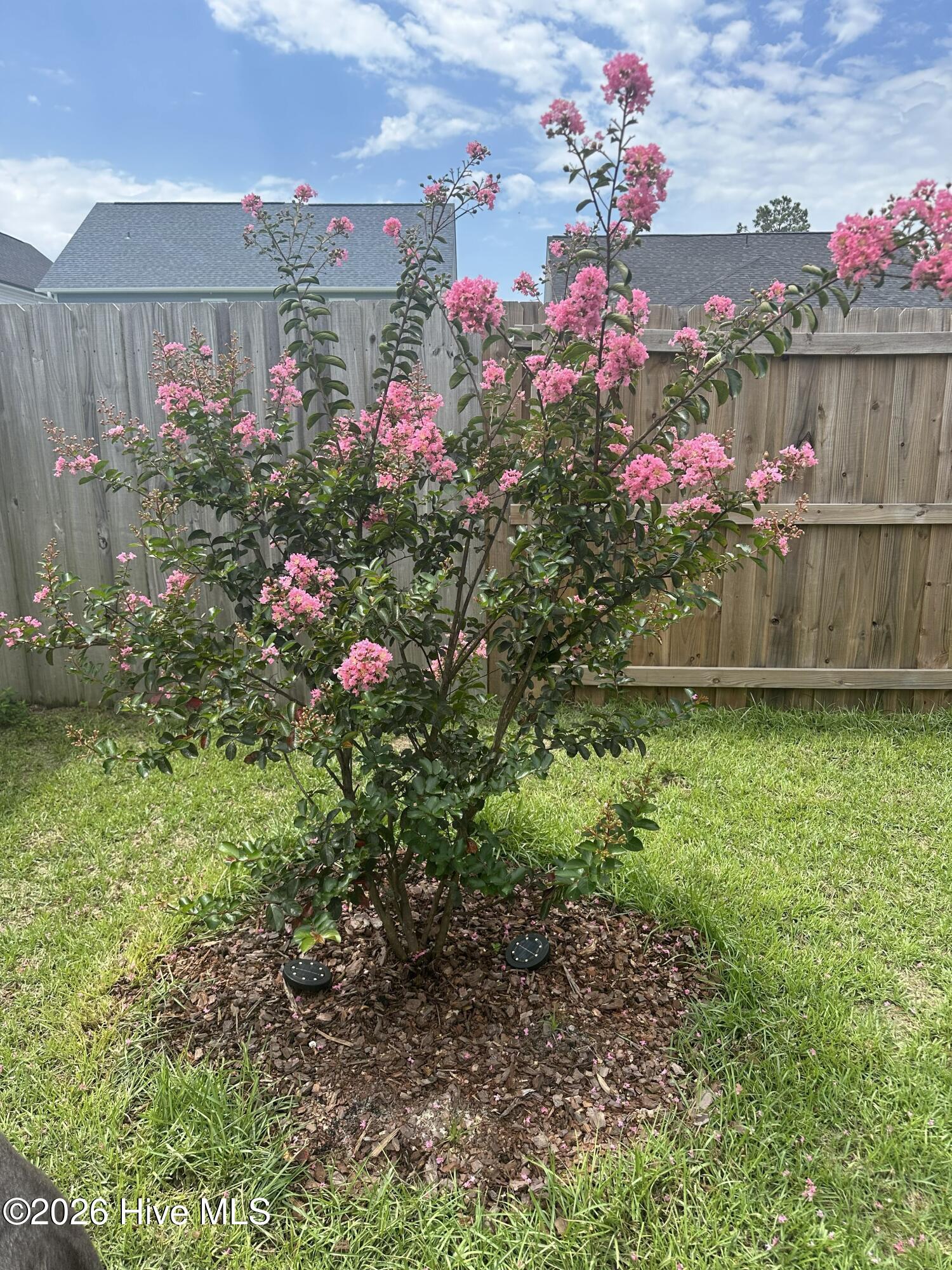 100557383 | Photo 50