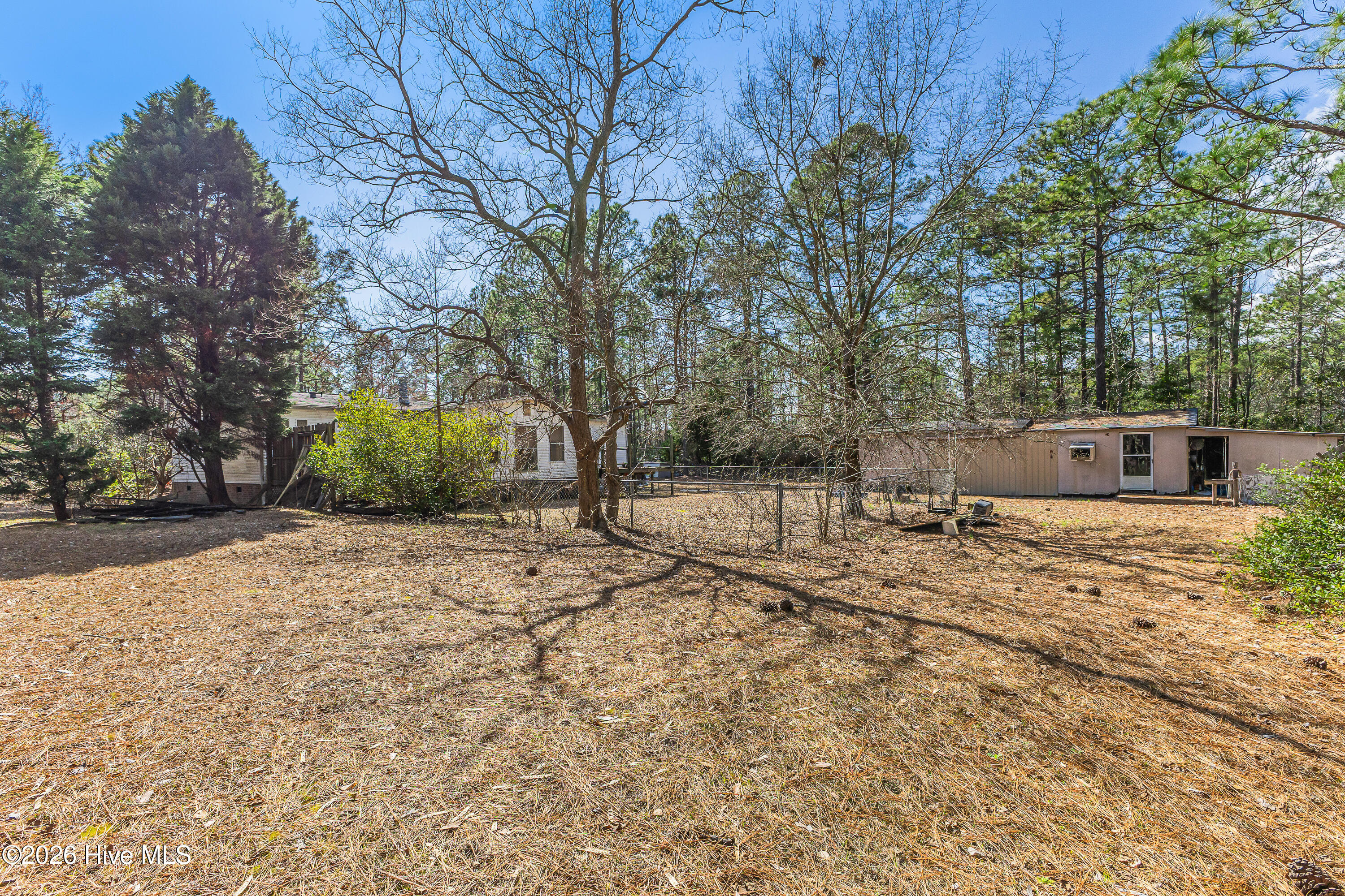 100559404 | Photo 25