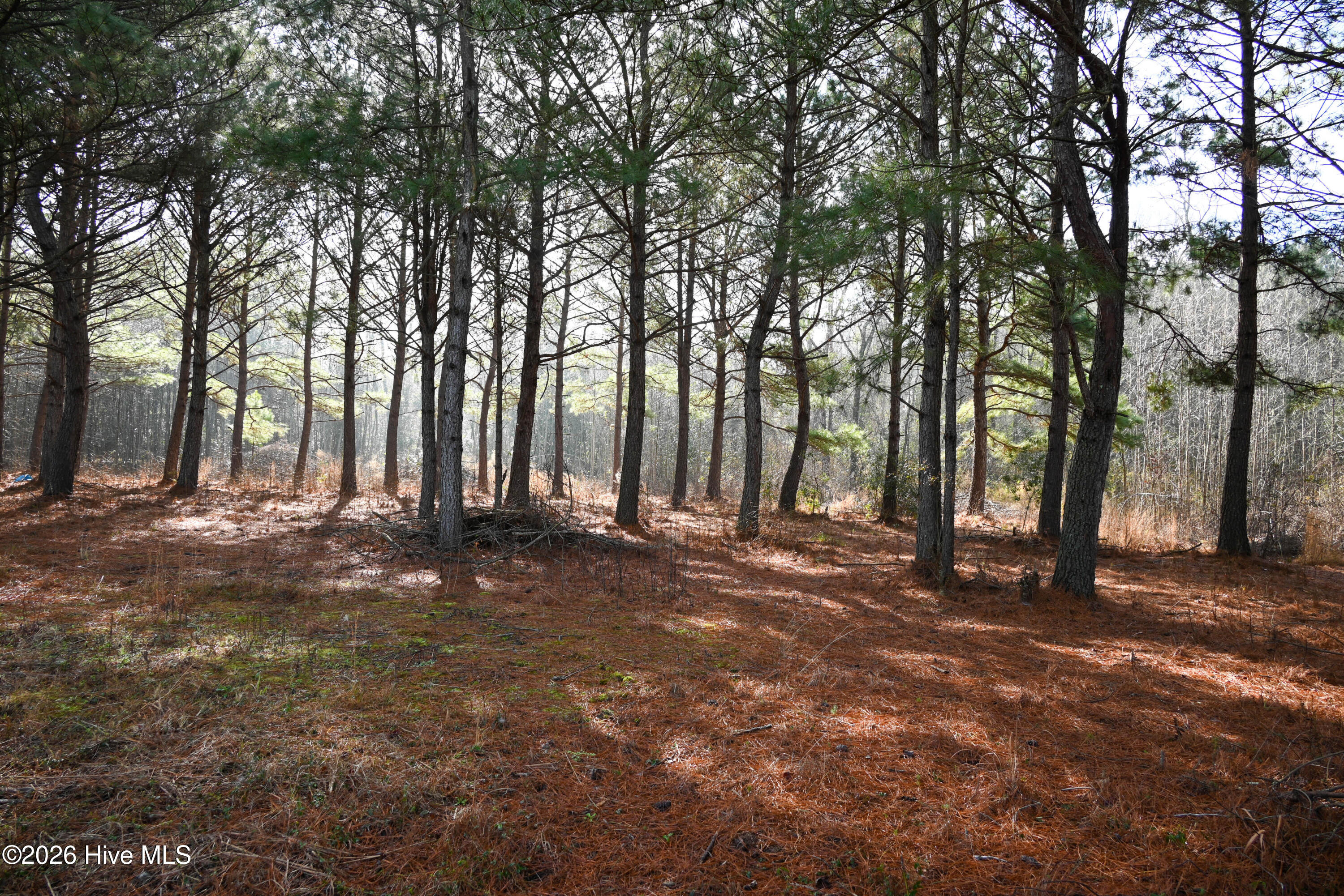 100560038 | Photo 20