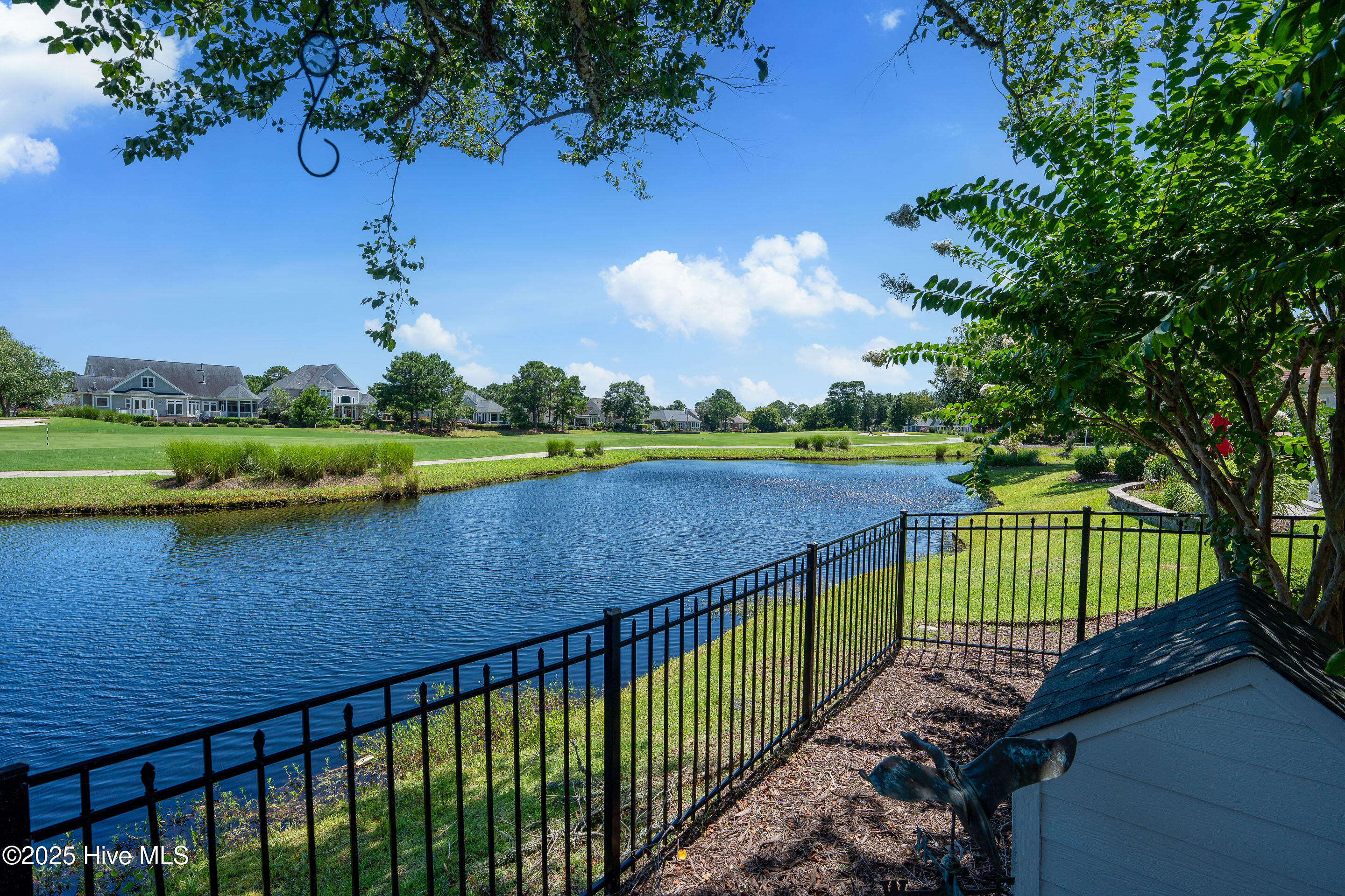 100520099 | Photo 74