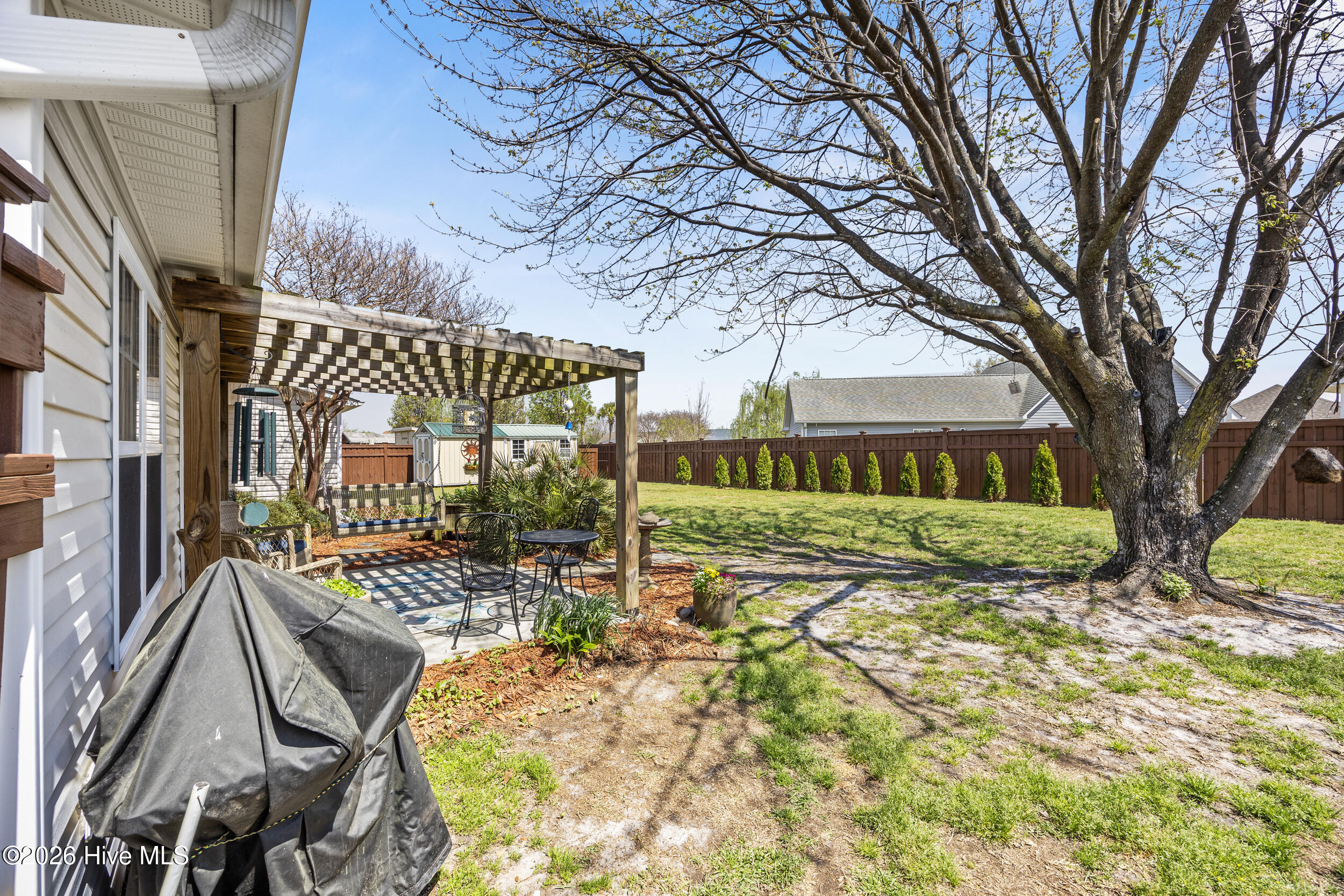 100562673 | Photo 34