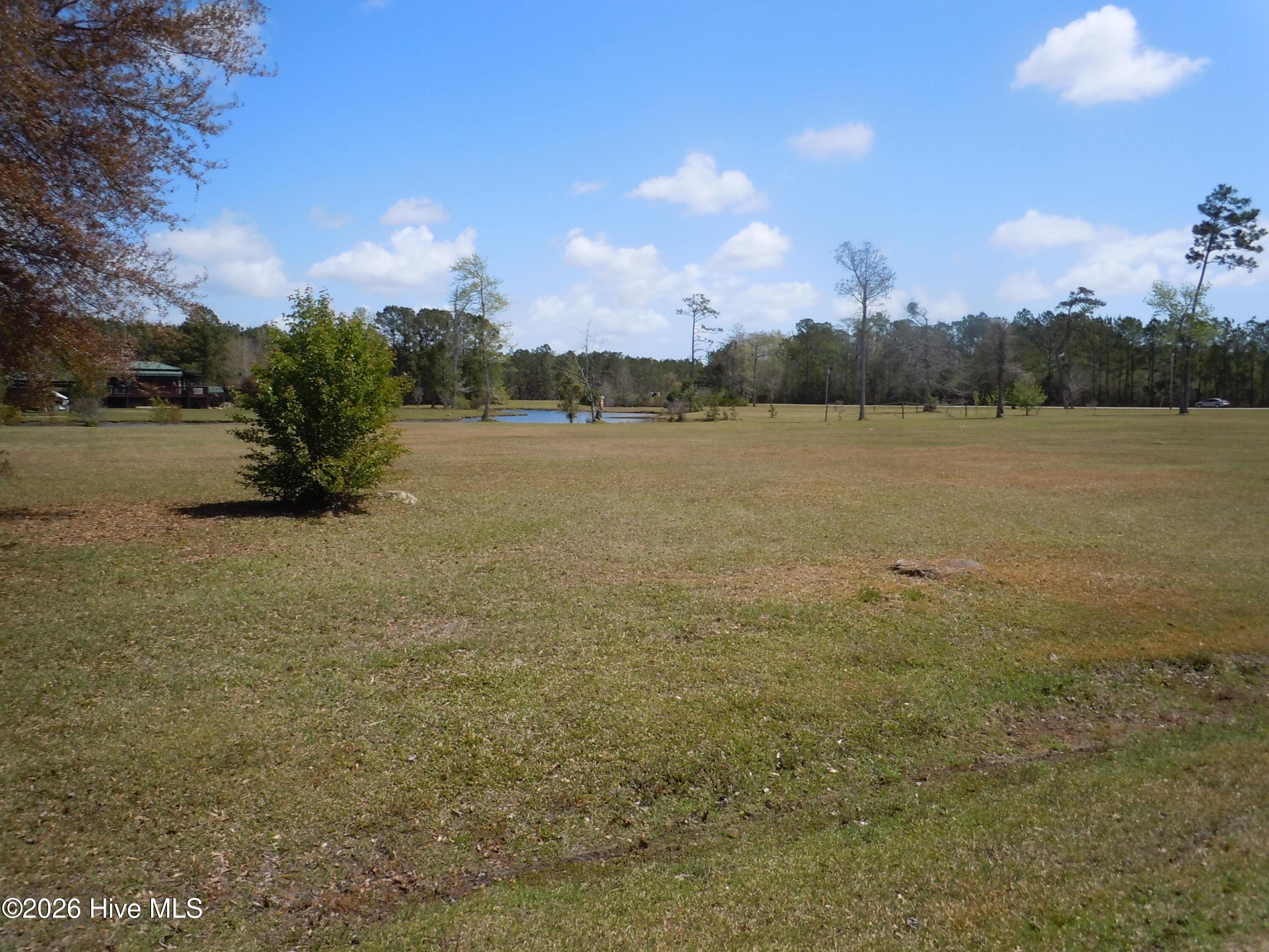 100563948 | Photo 10