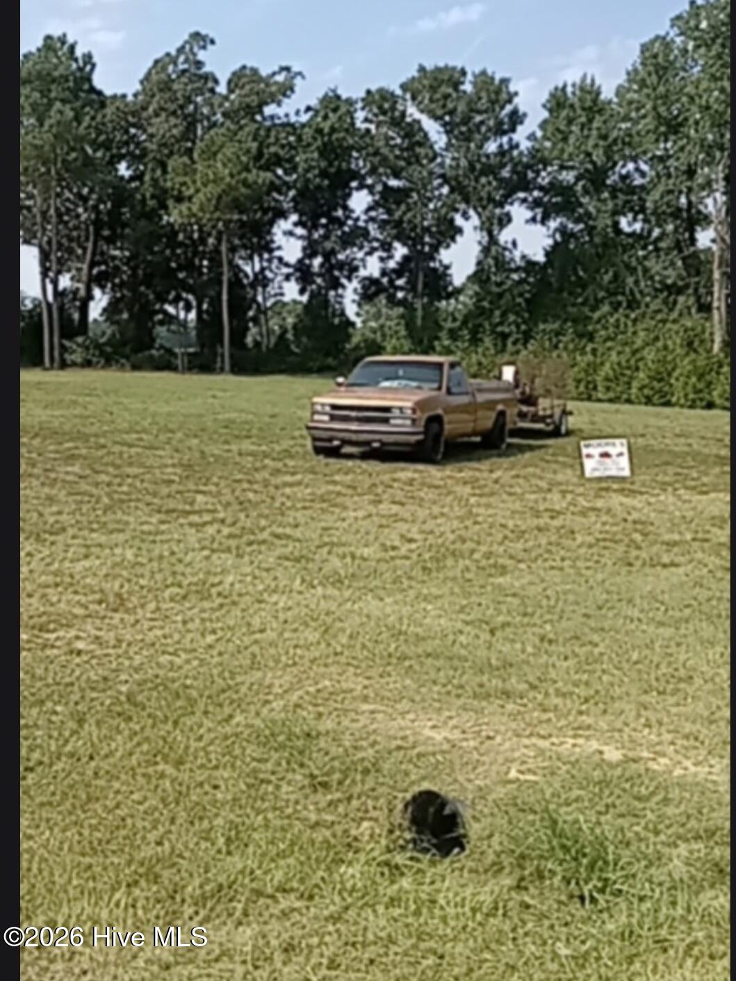 100606031