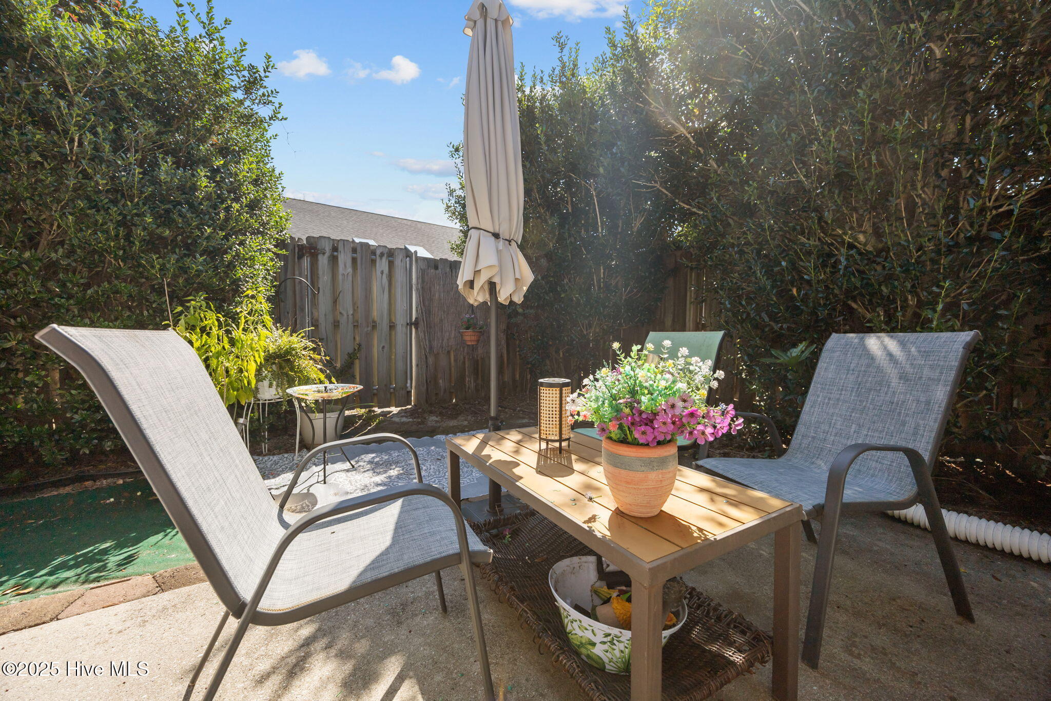 100532980 | Photo 35