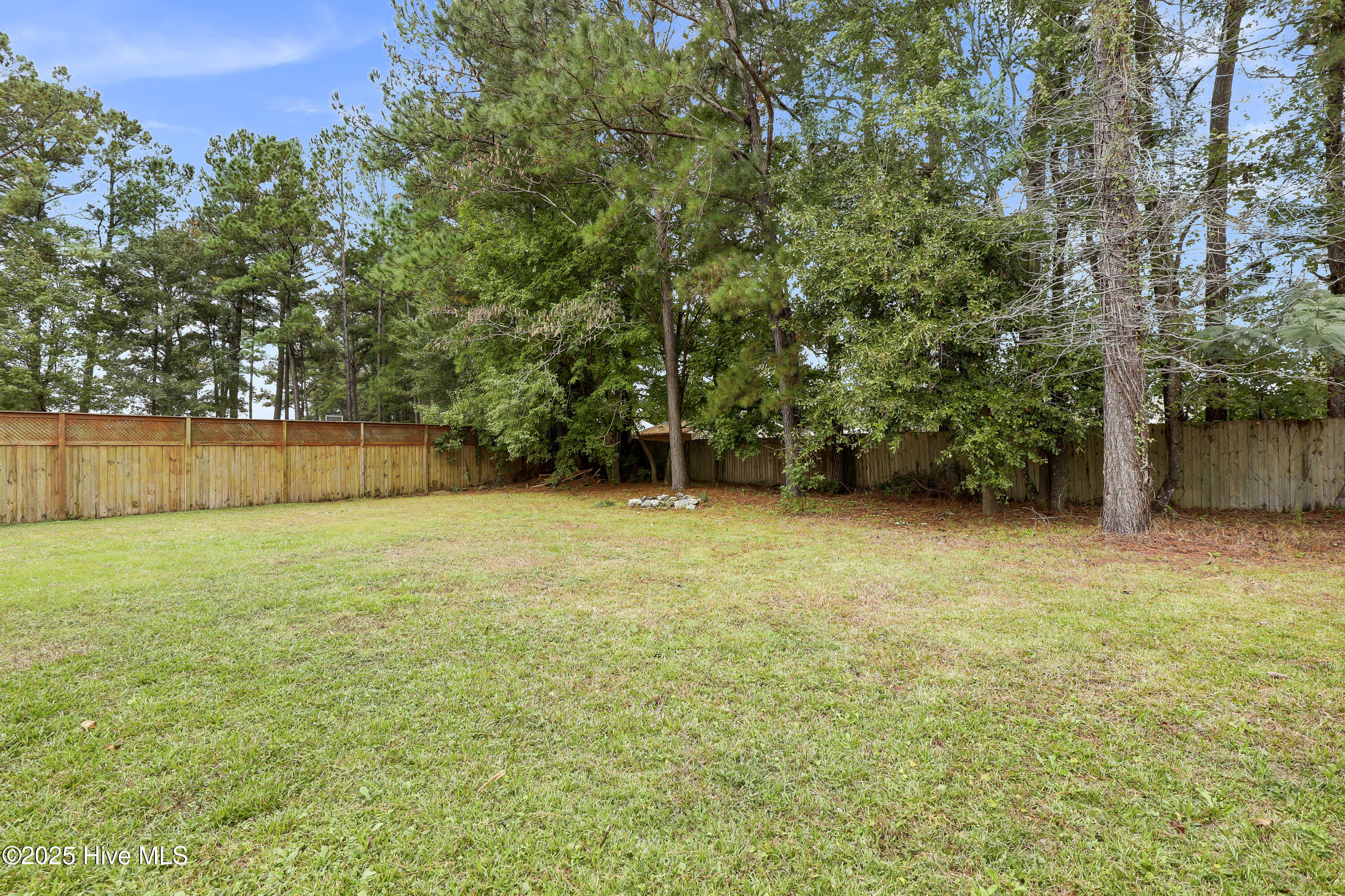 100536597 | Photo 27