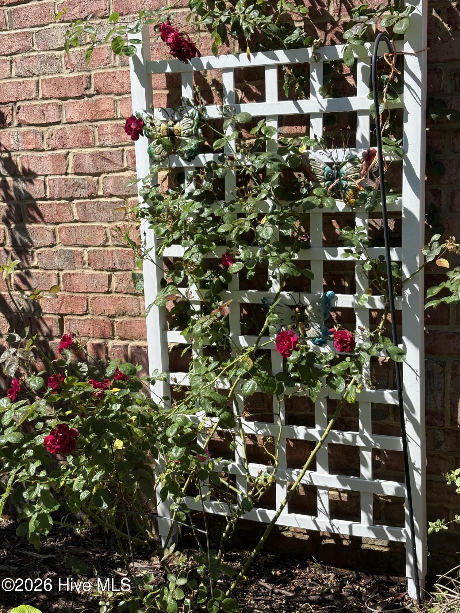 100553841 | Photo 65