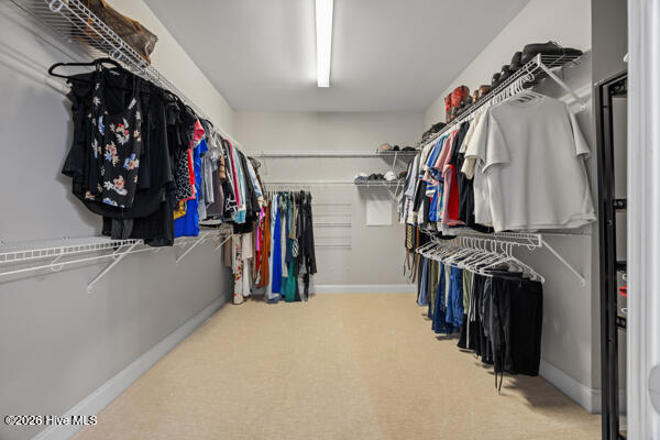 100554590 | Photo 23