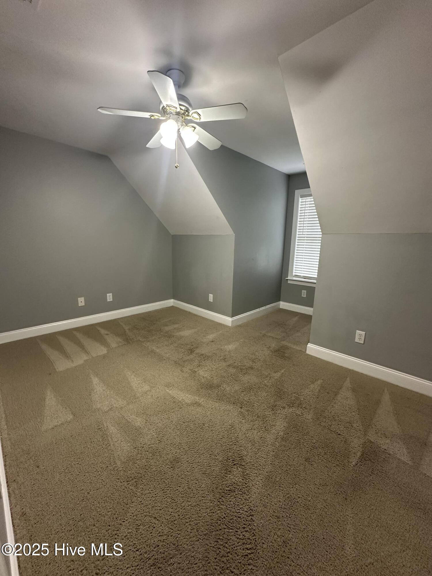 100524744 | Photo 29