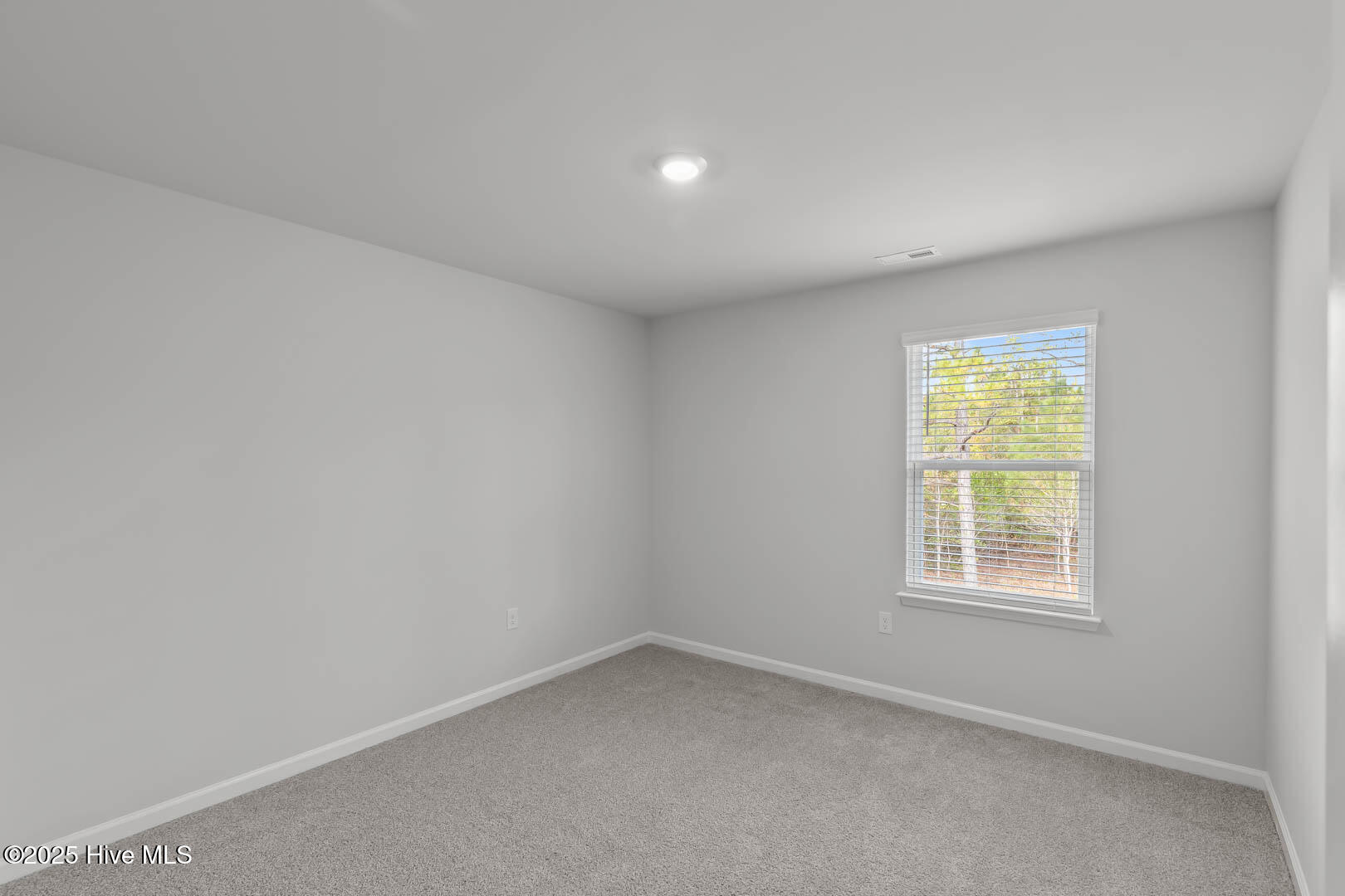 100538929 | Photo 42