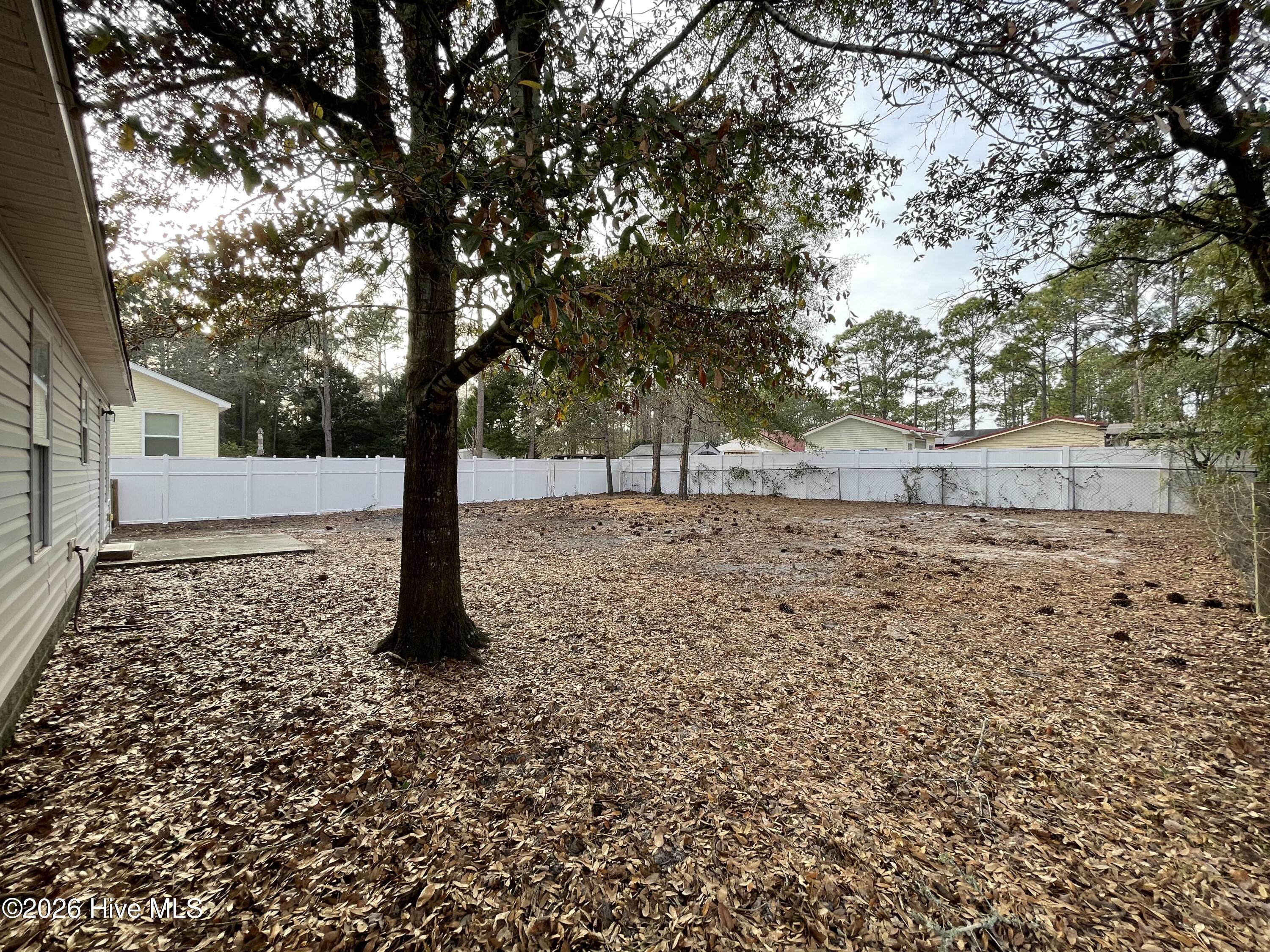 100548174 | Photo 33