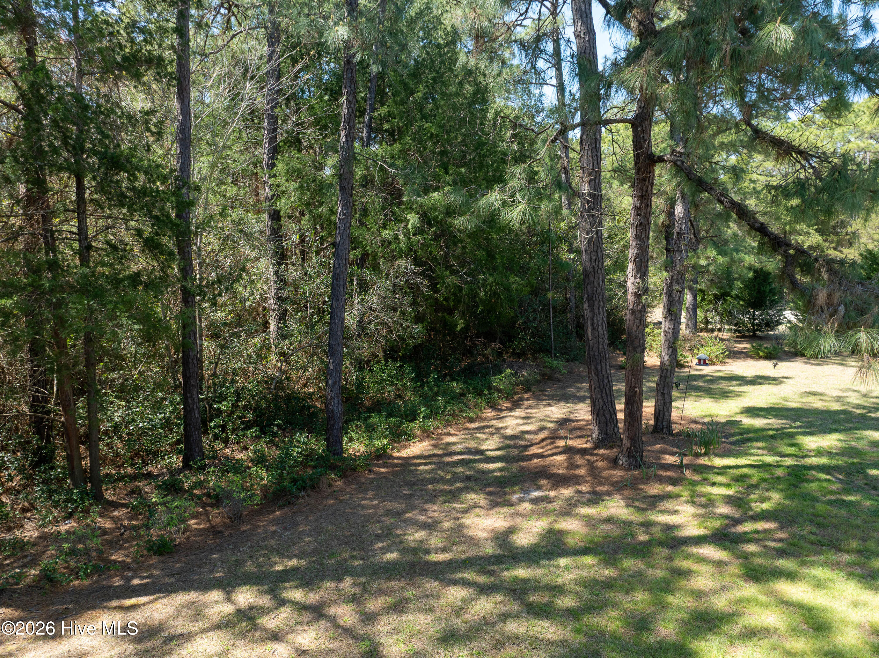 100563576 | Photo 51