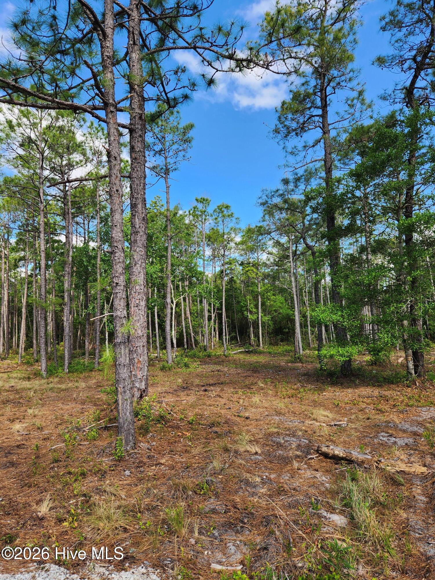 Shirley Johnson - MLS Number: 100479507