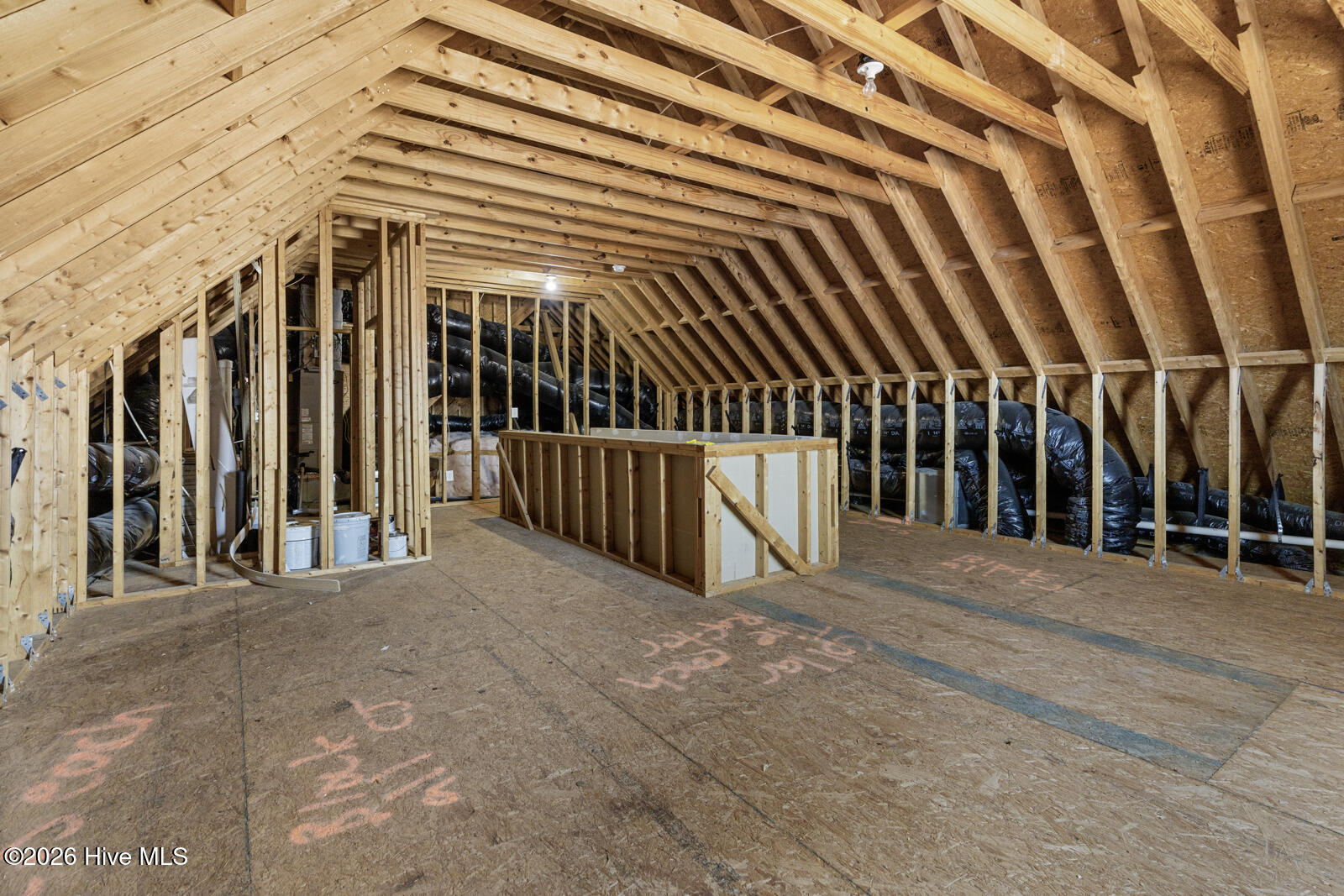 100556898 | Photo 28