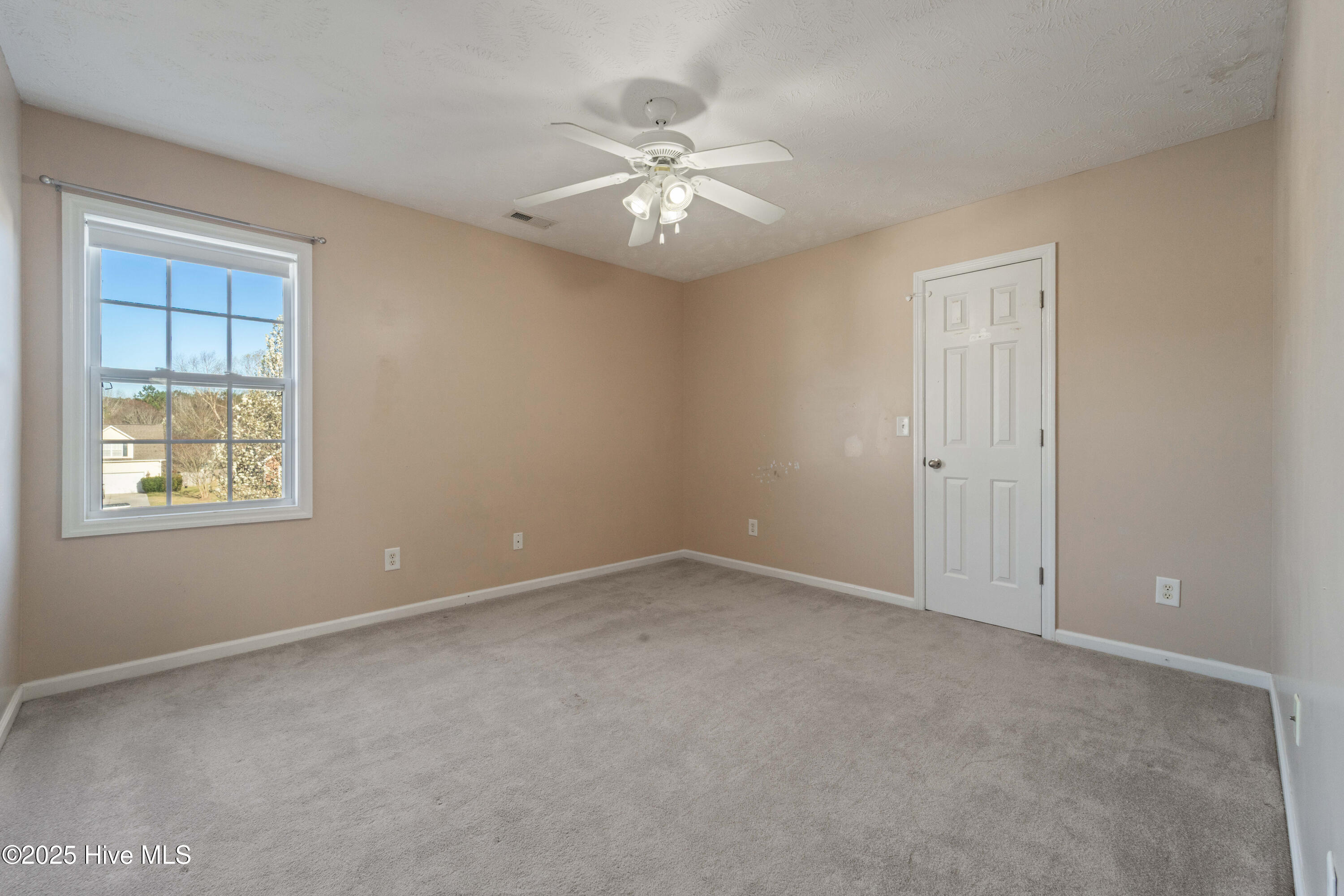 100556361 | Photo 15