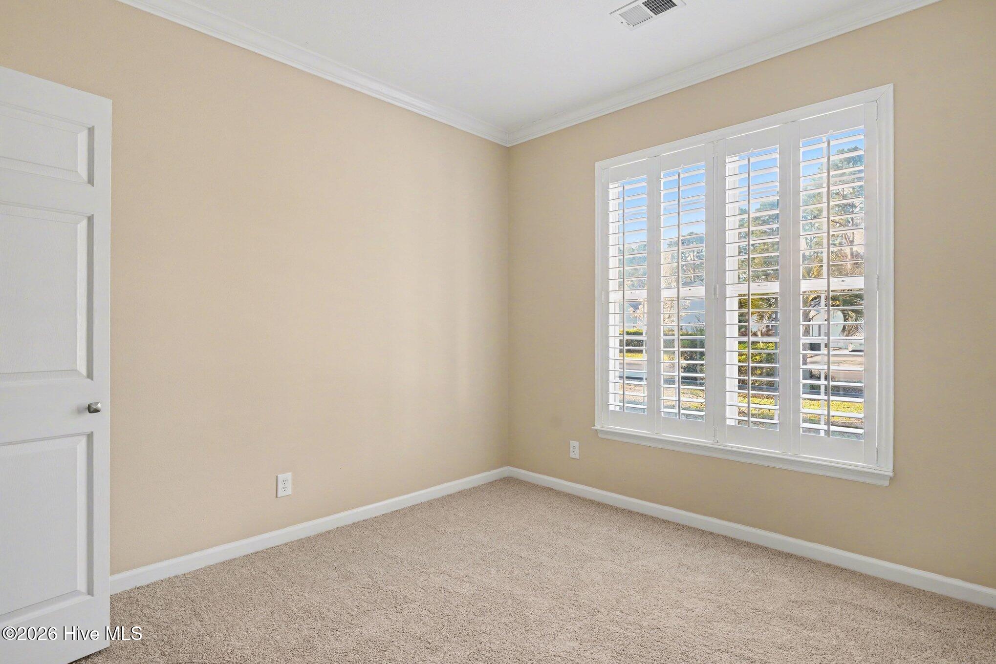 100560869 | Photo 17