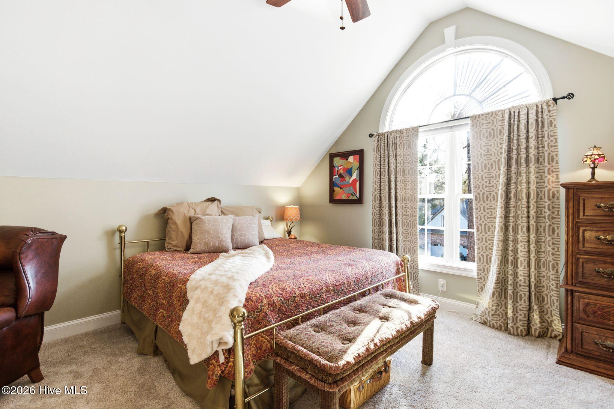 100564918 | Photo 50