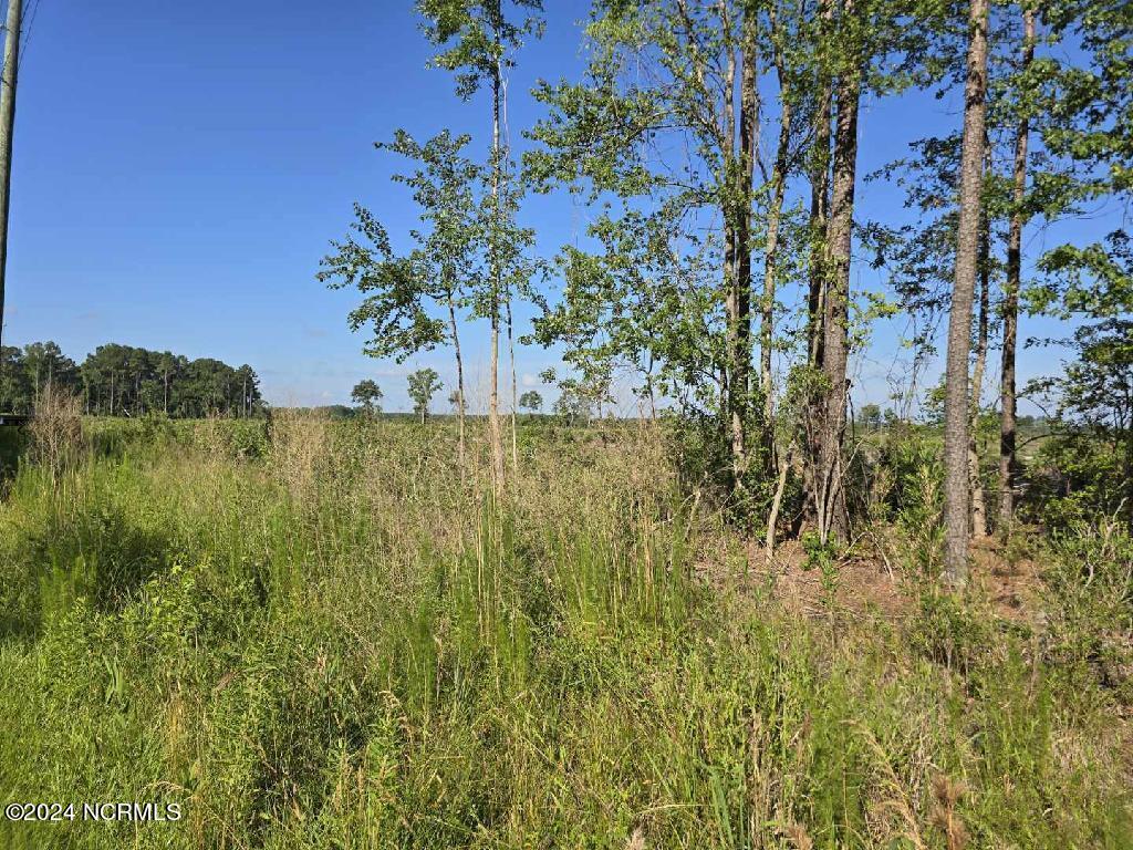 0 Us 17, Chocowinity, NC, 27817