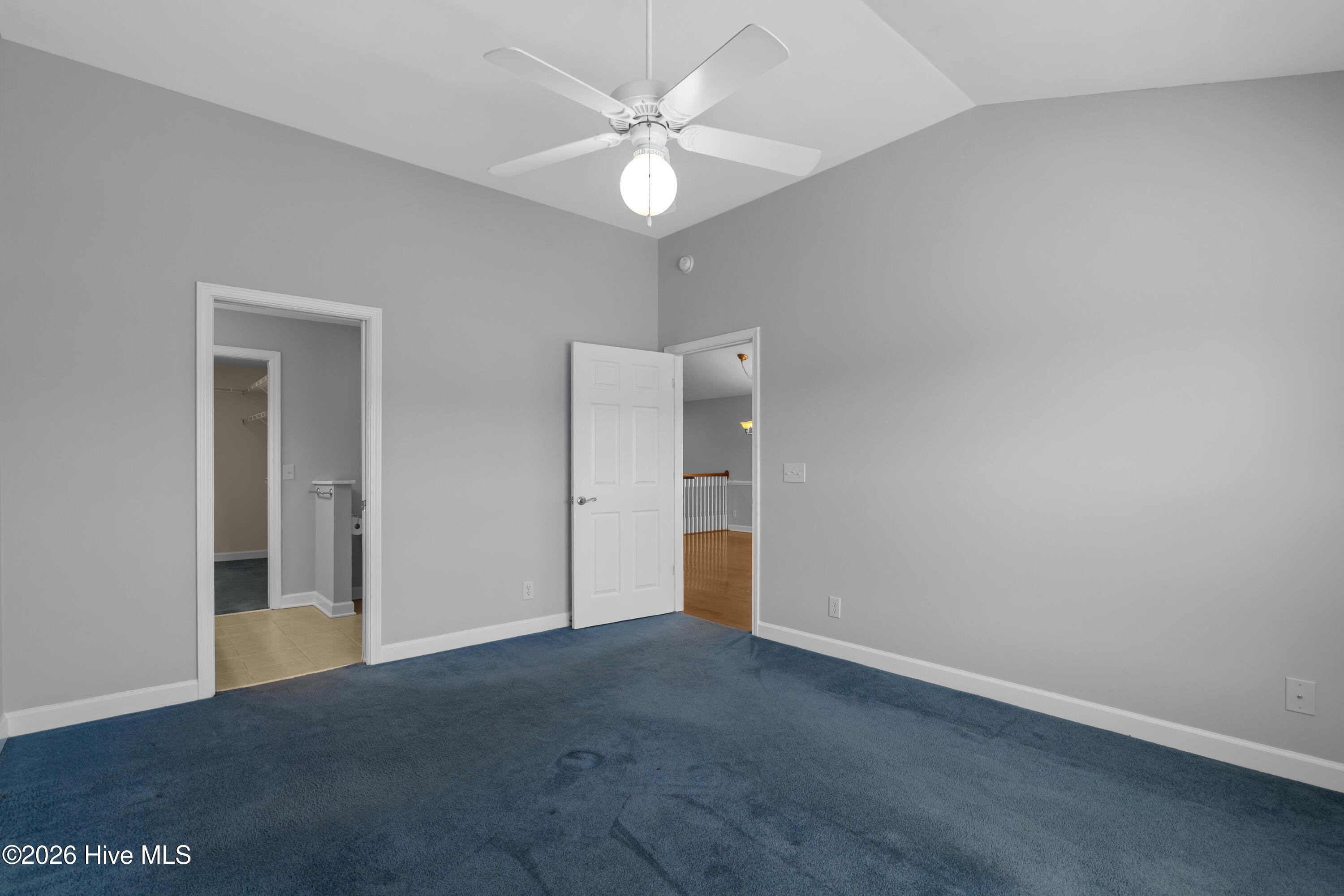 100567546 | Photo 17