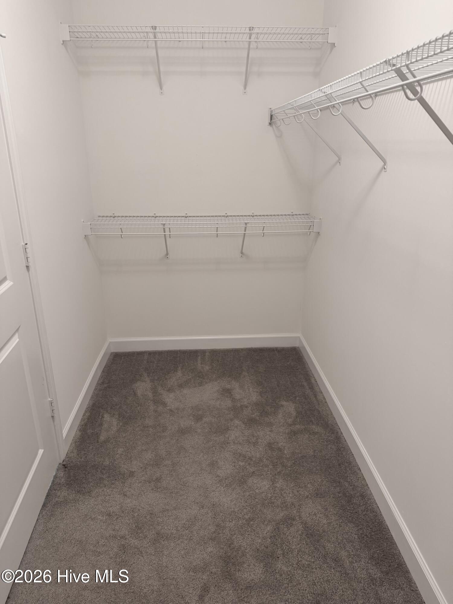 100558778 | Photo 21