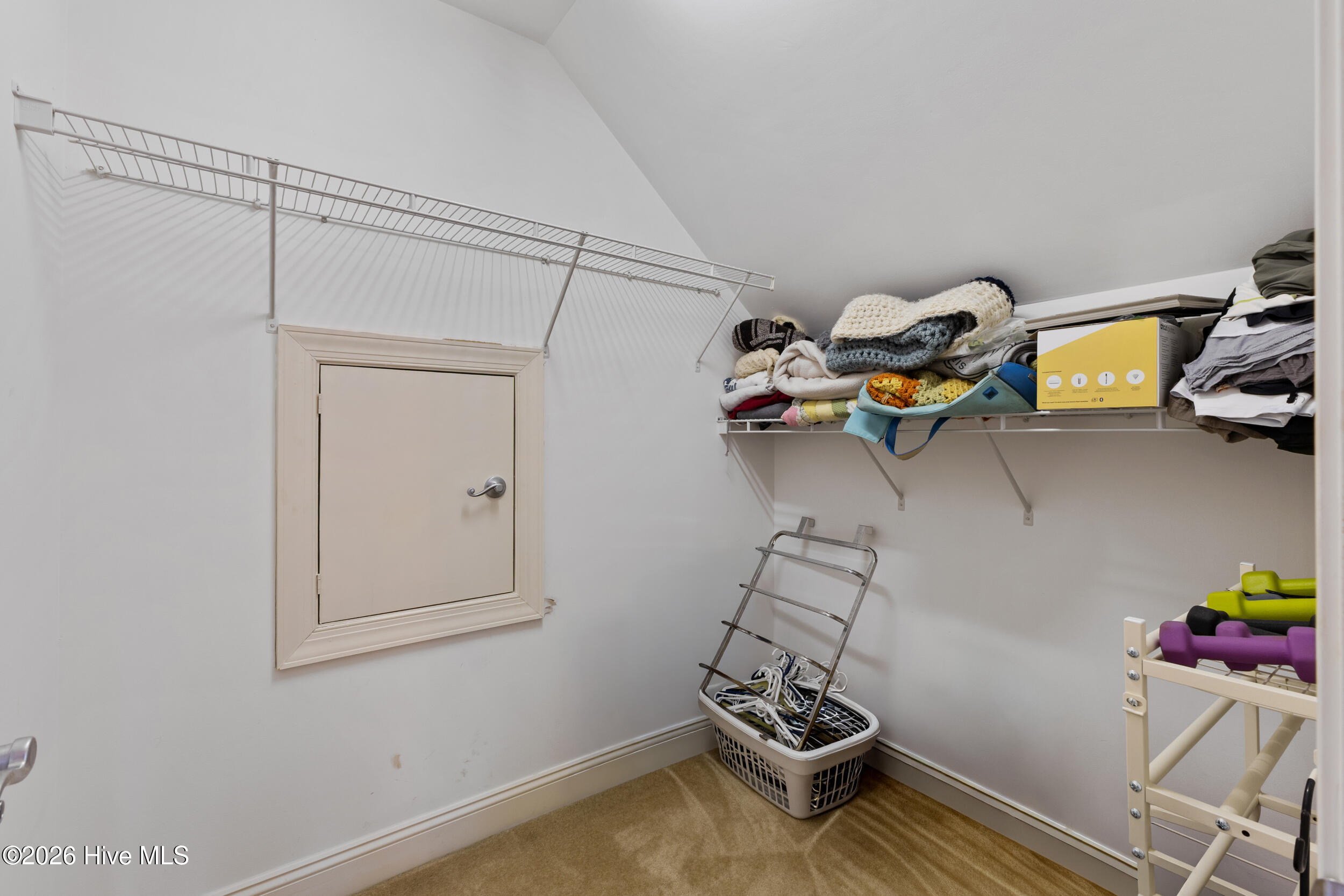 100557149 | Photo 39