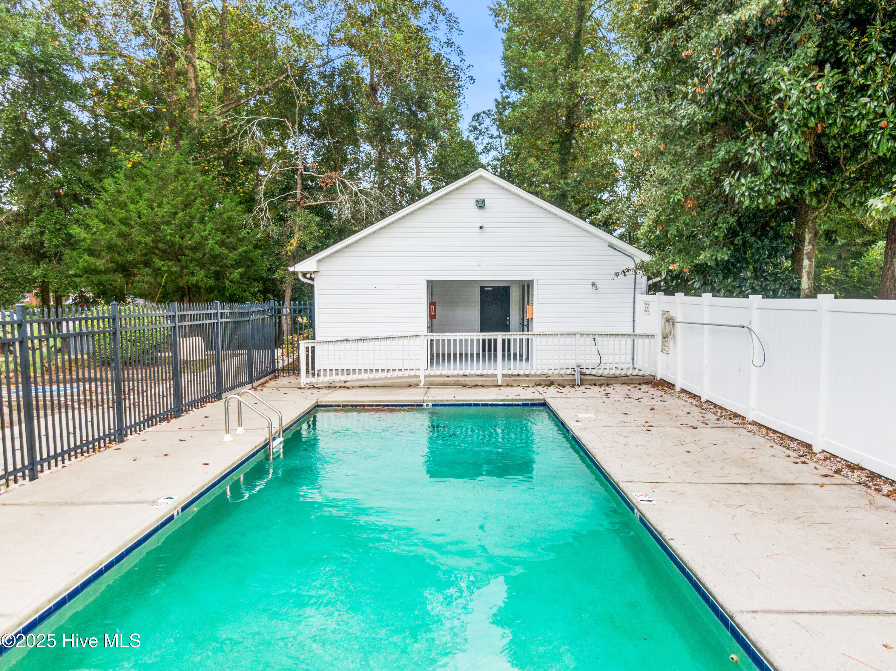 100535328 | Photo 35