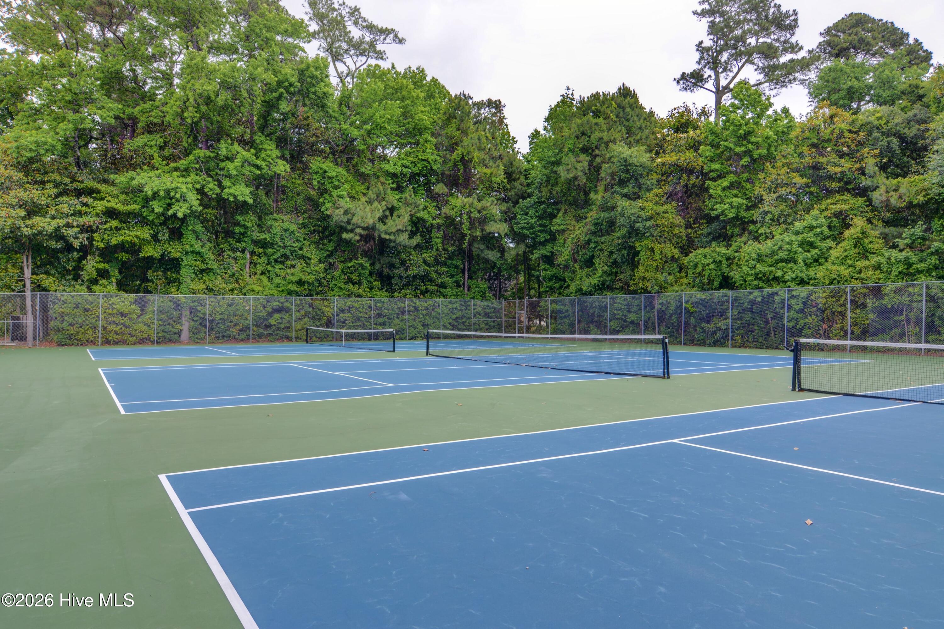 100549368 | Photo 44