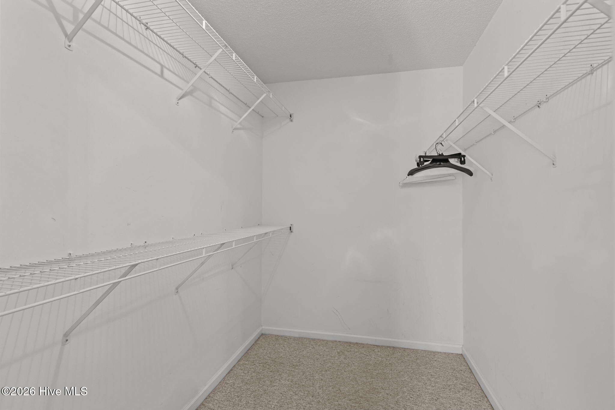 100564884 | Photo 23