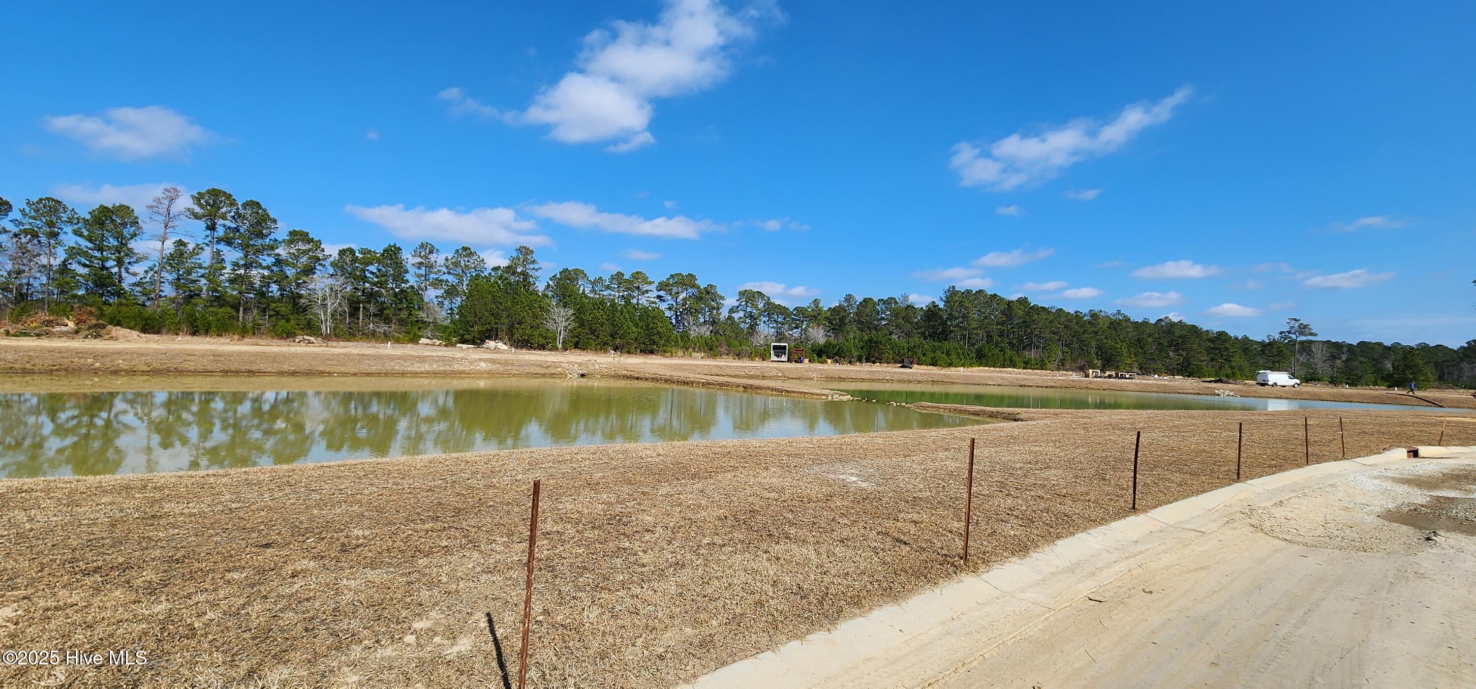 100491701 | Photo 12