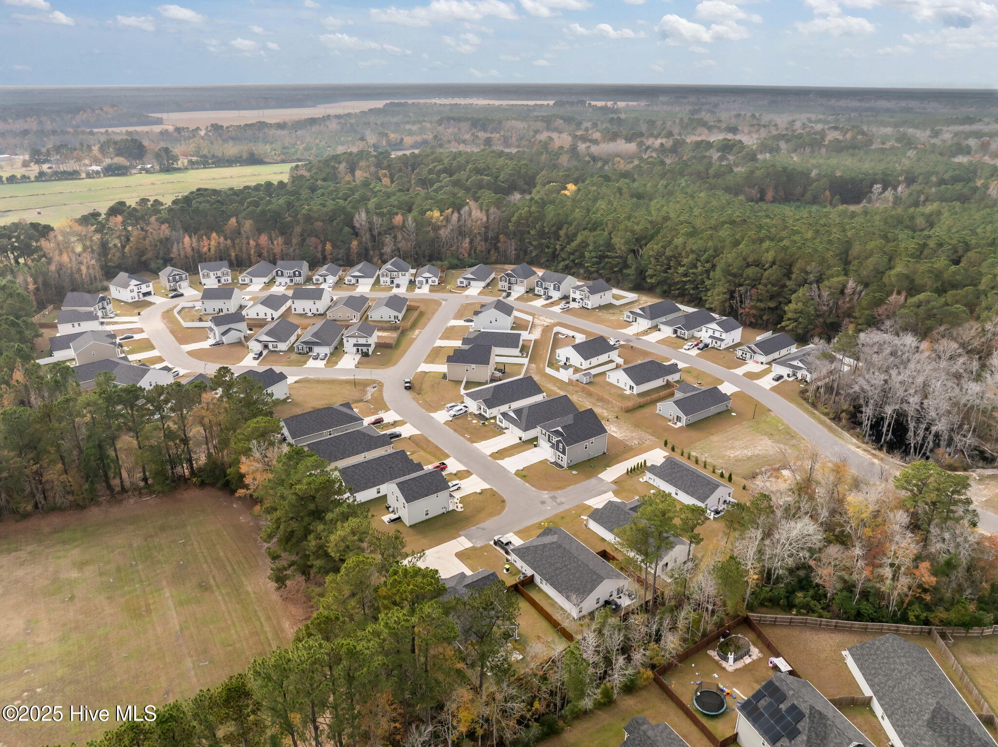 100542691 | Photo 32